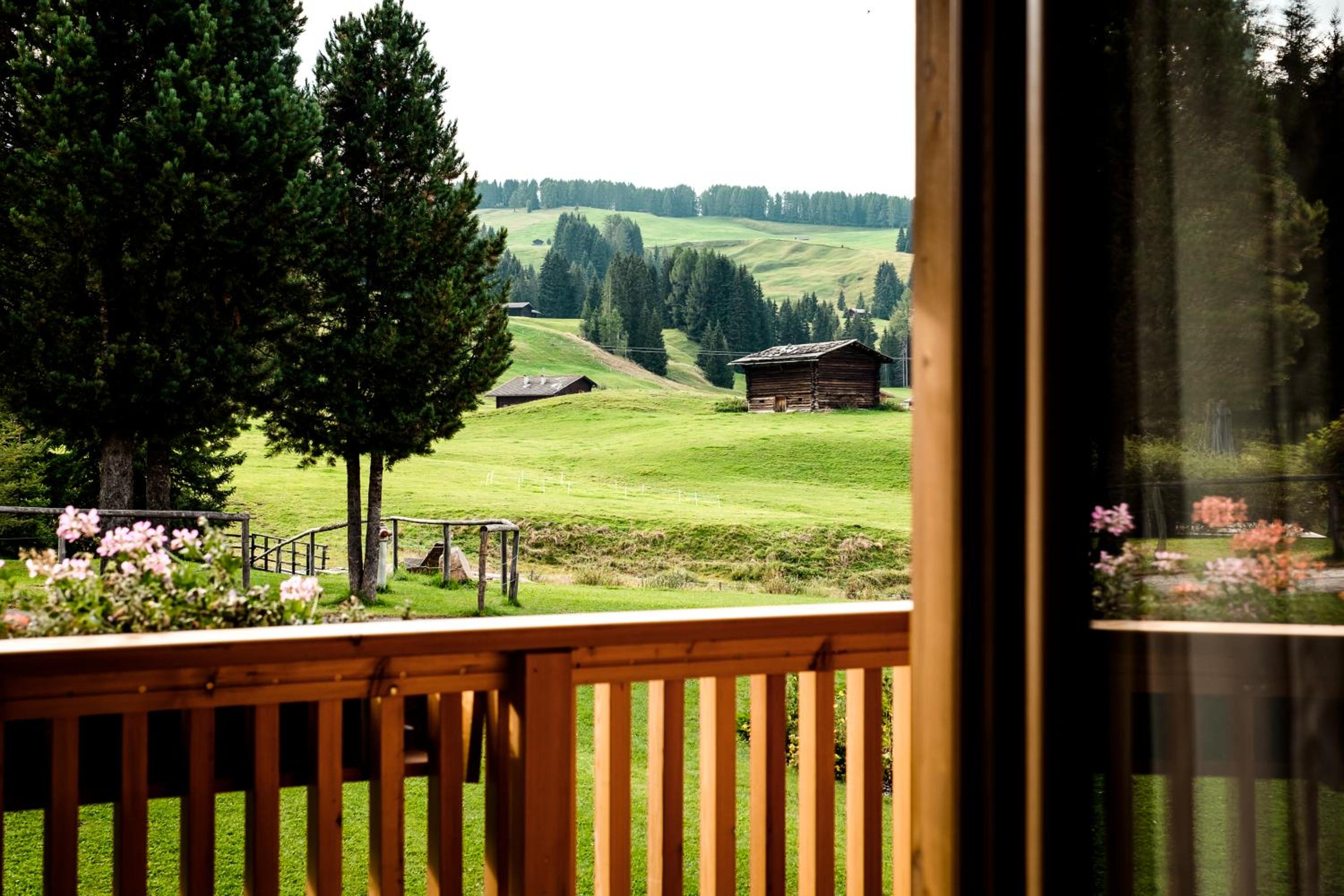 Suite - Split Level - Photo 2
