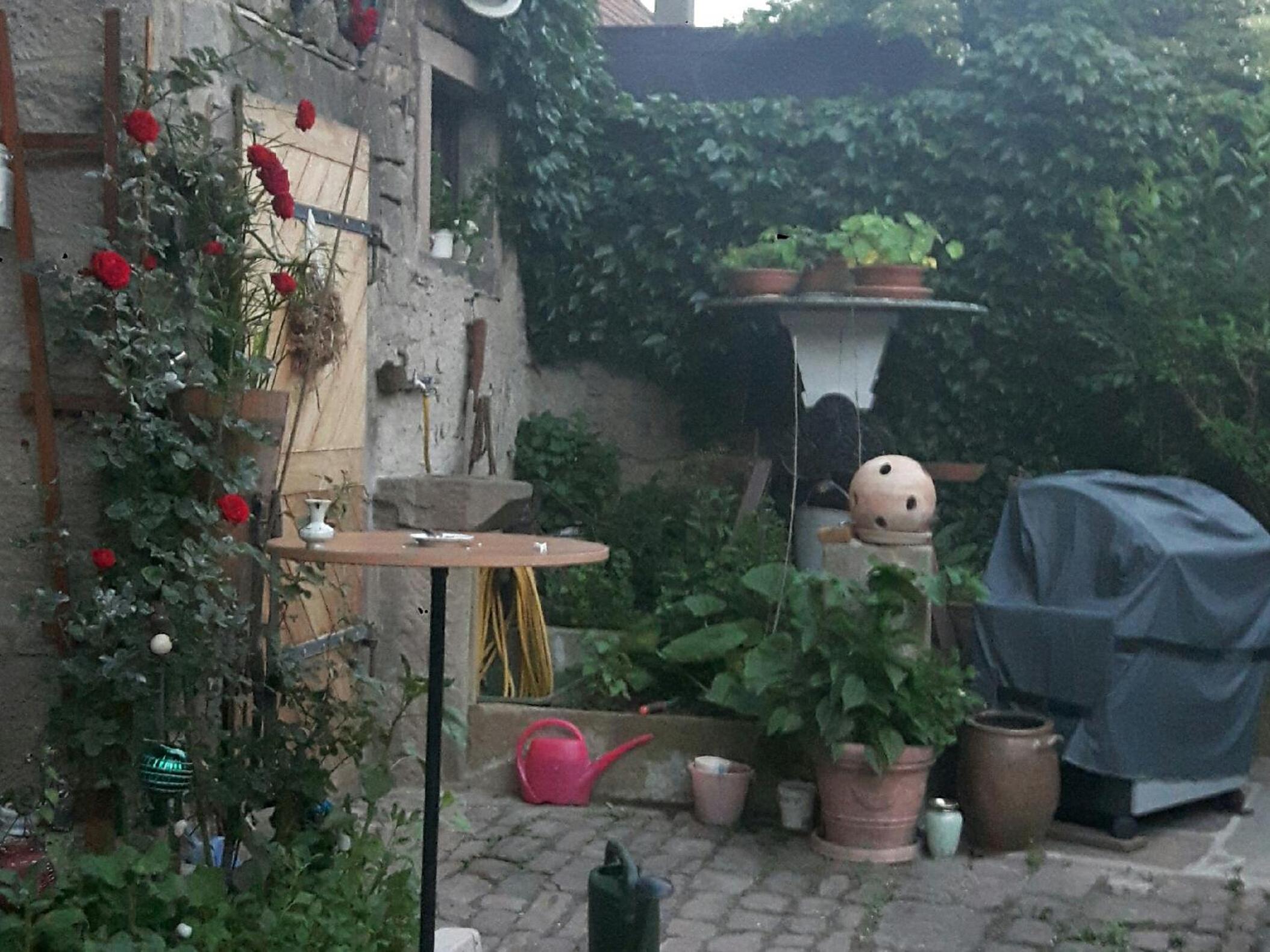 Apartment - Photo 4