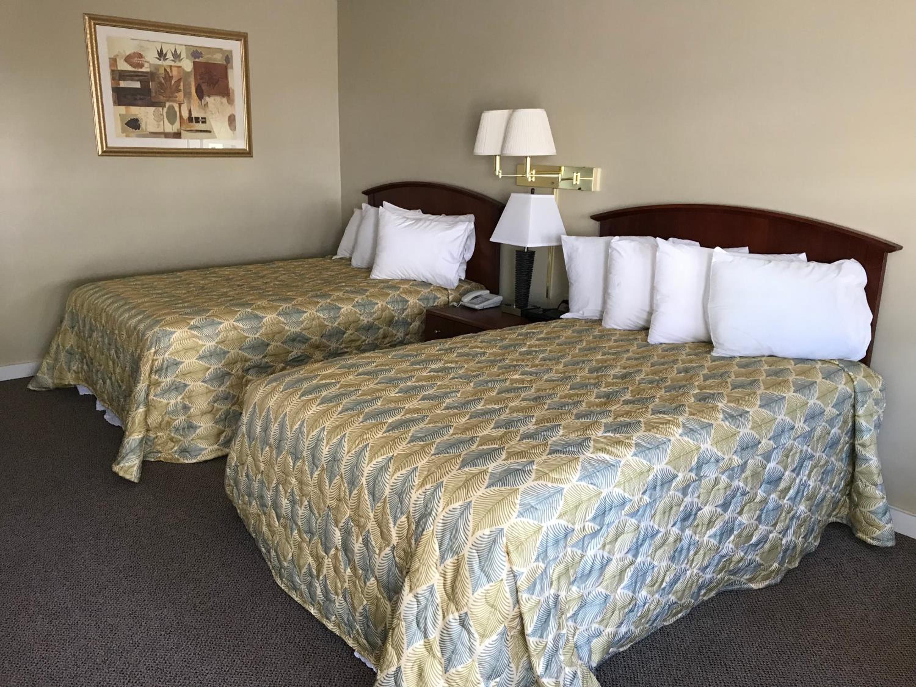 Large Double Room photo 3
