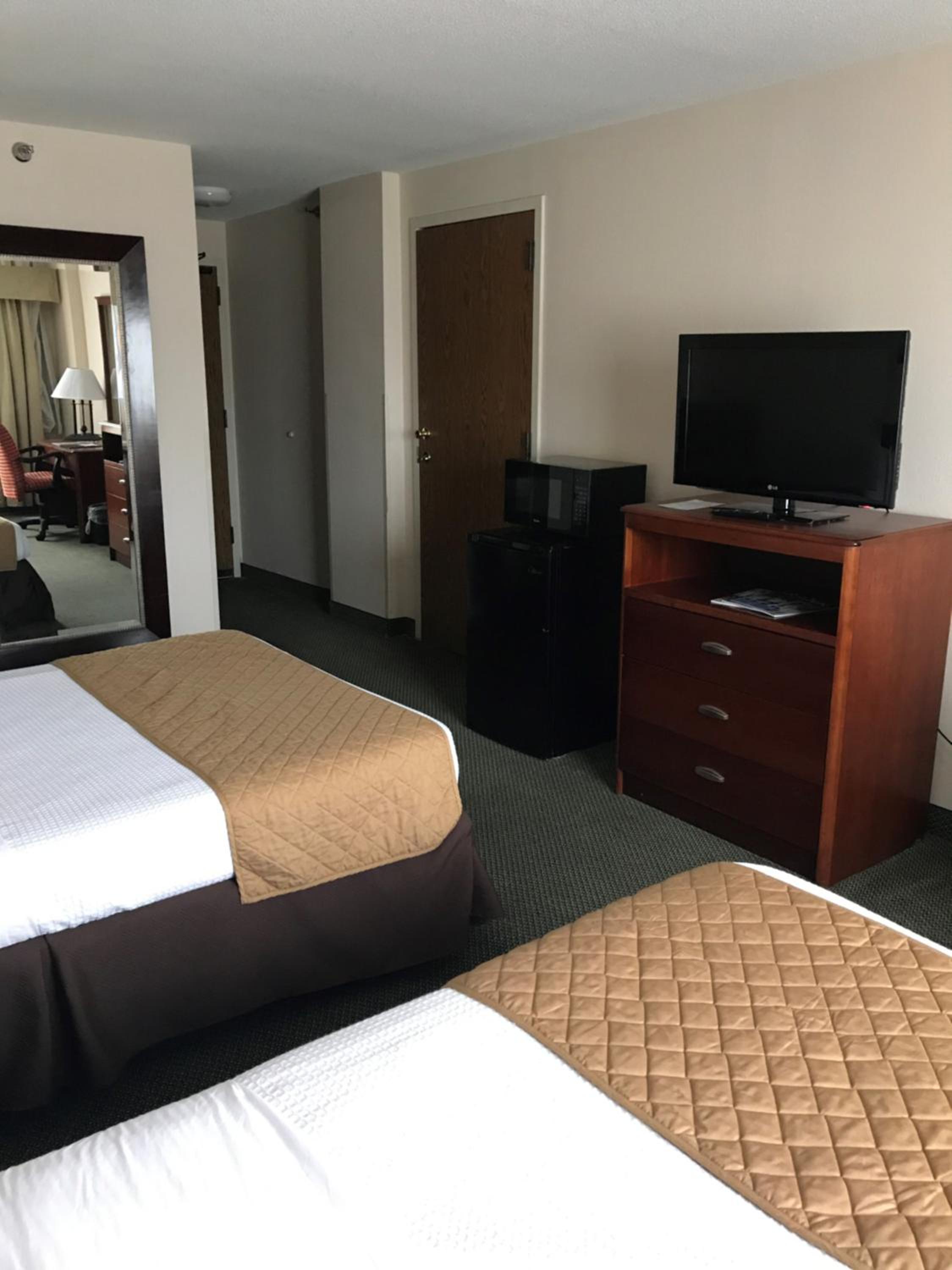 Double Mini Suite photo 3
