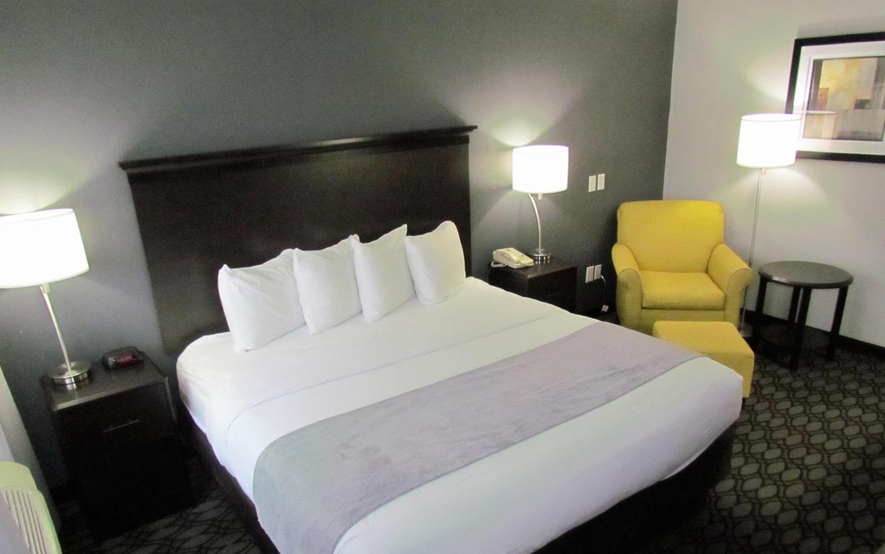 King Room - Non-Smoking/Pet Friendly photo 3
