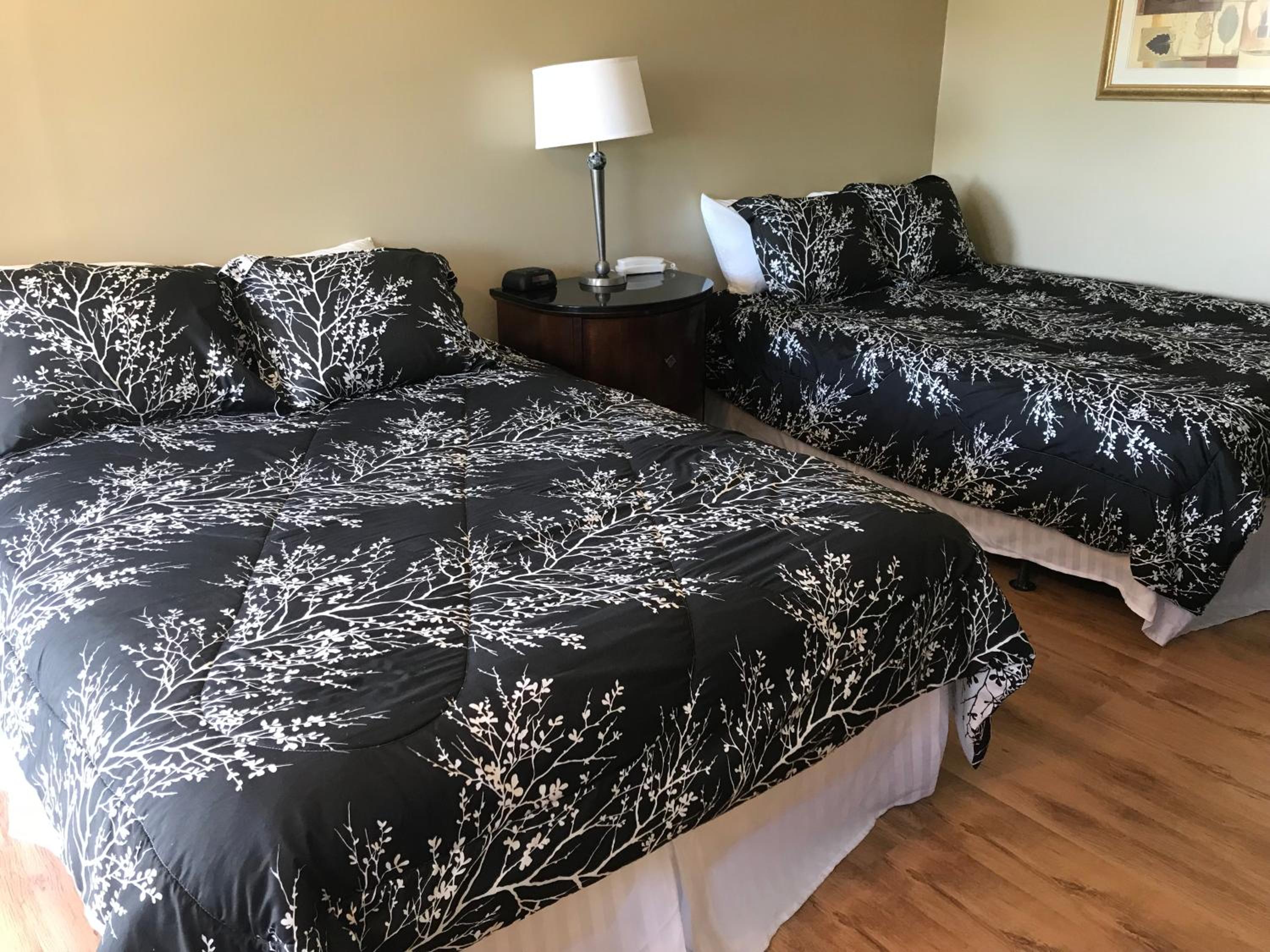 Standard Queen Room photo 1