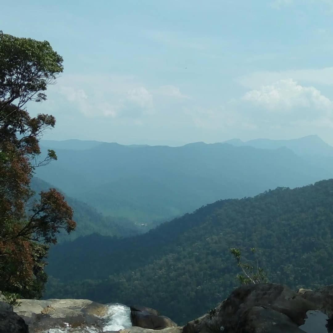 Standard Single Room with Mountain View photo 3