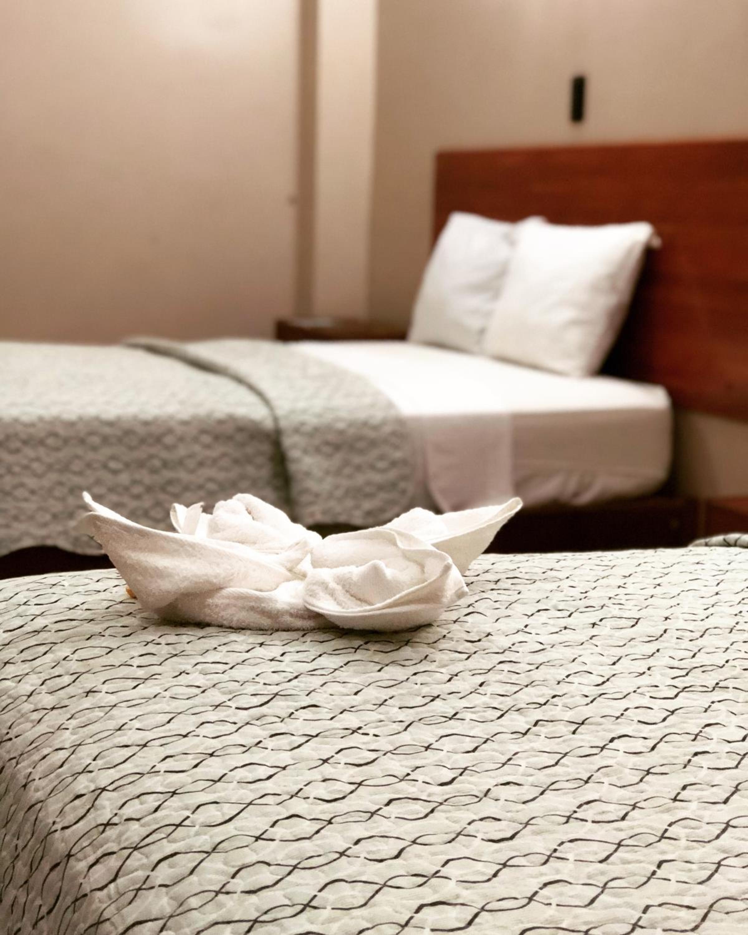 Twin Room photo 3