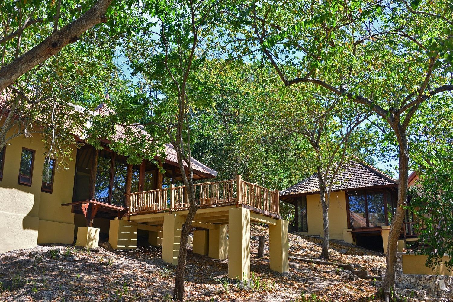 Jungle Lanai Cottage with Free Snorkeling at House Reef  - Photo 12