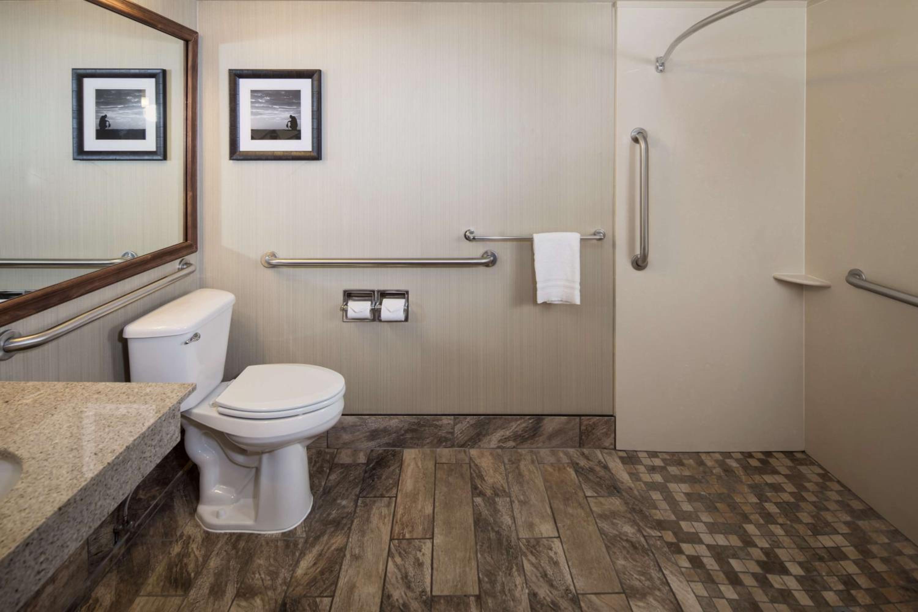 King Suite - Disability Access photo 2