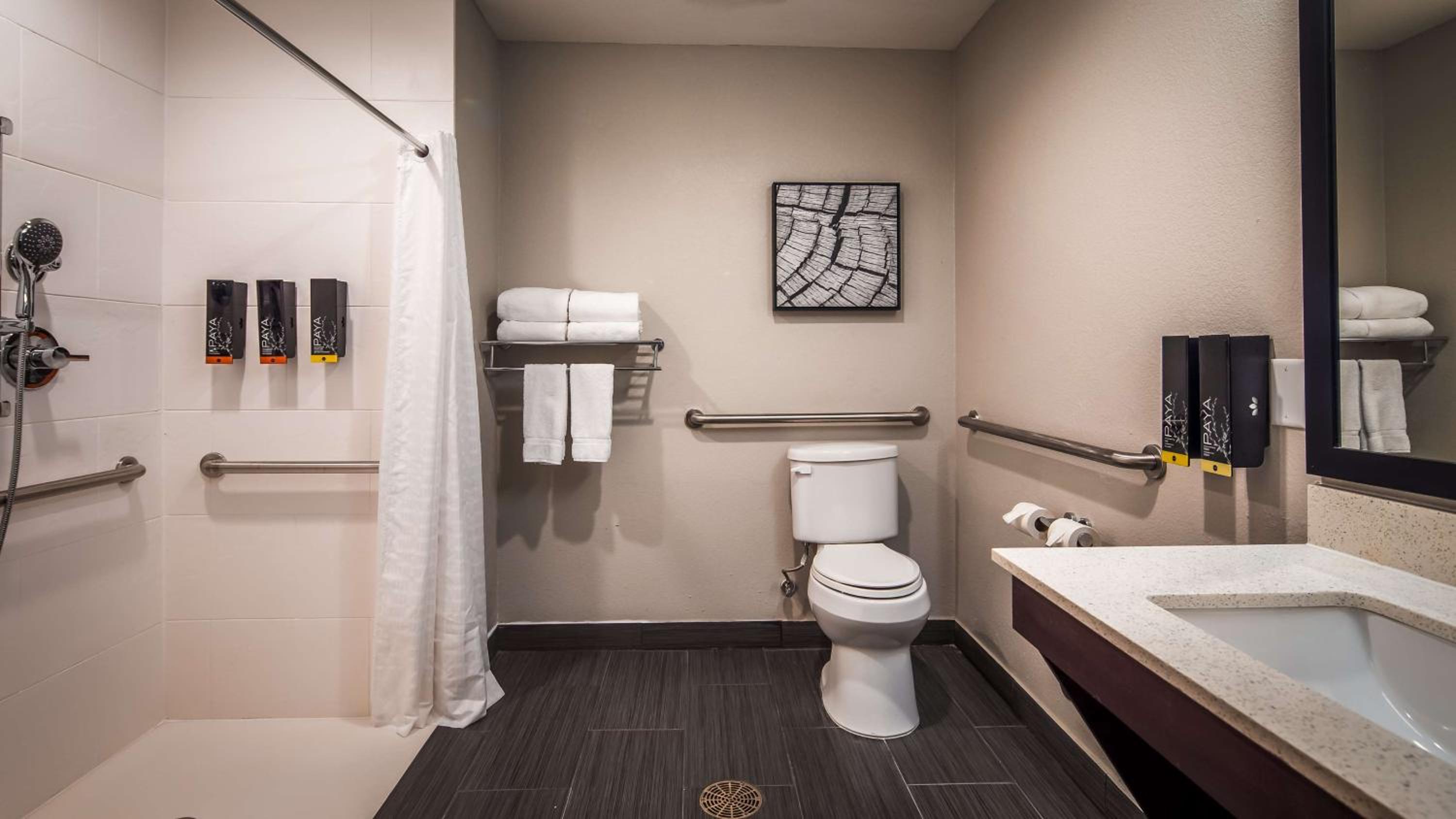 King Room with Roll-in Shower - Disability Access/Non-Smoking photo 3