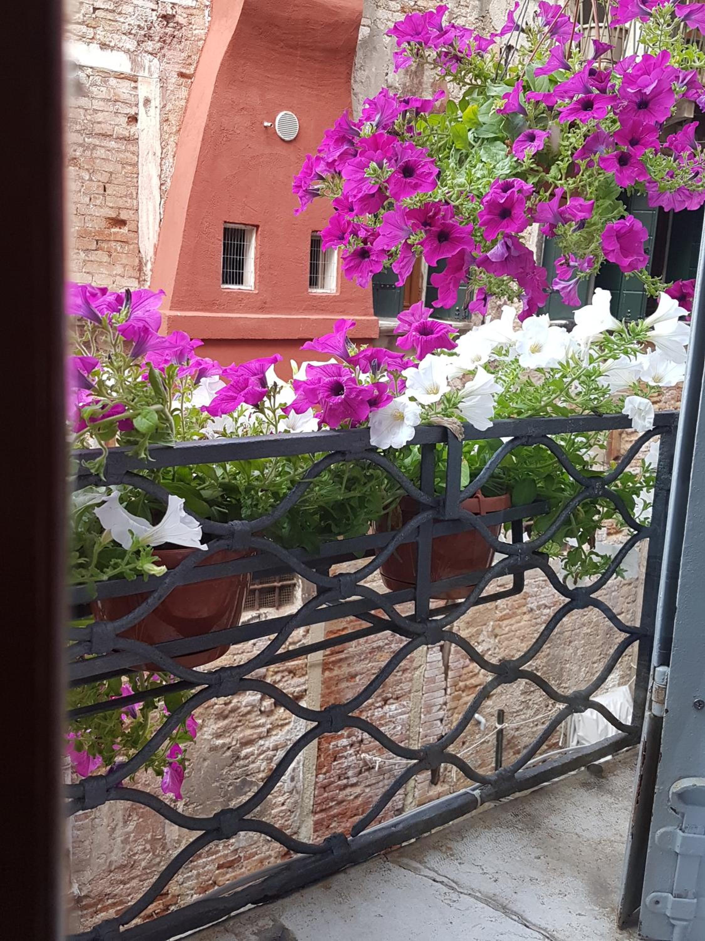 Deluxe Junior Suite "Alvise Dandolo" with Canal View photo 1