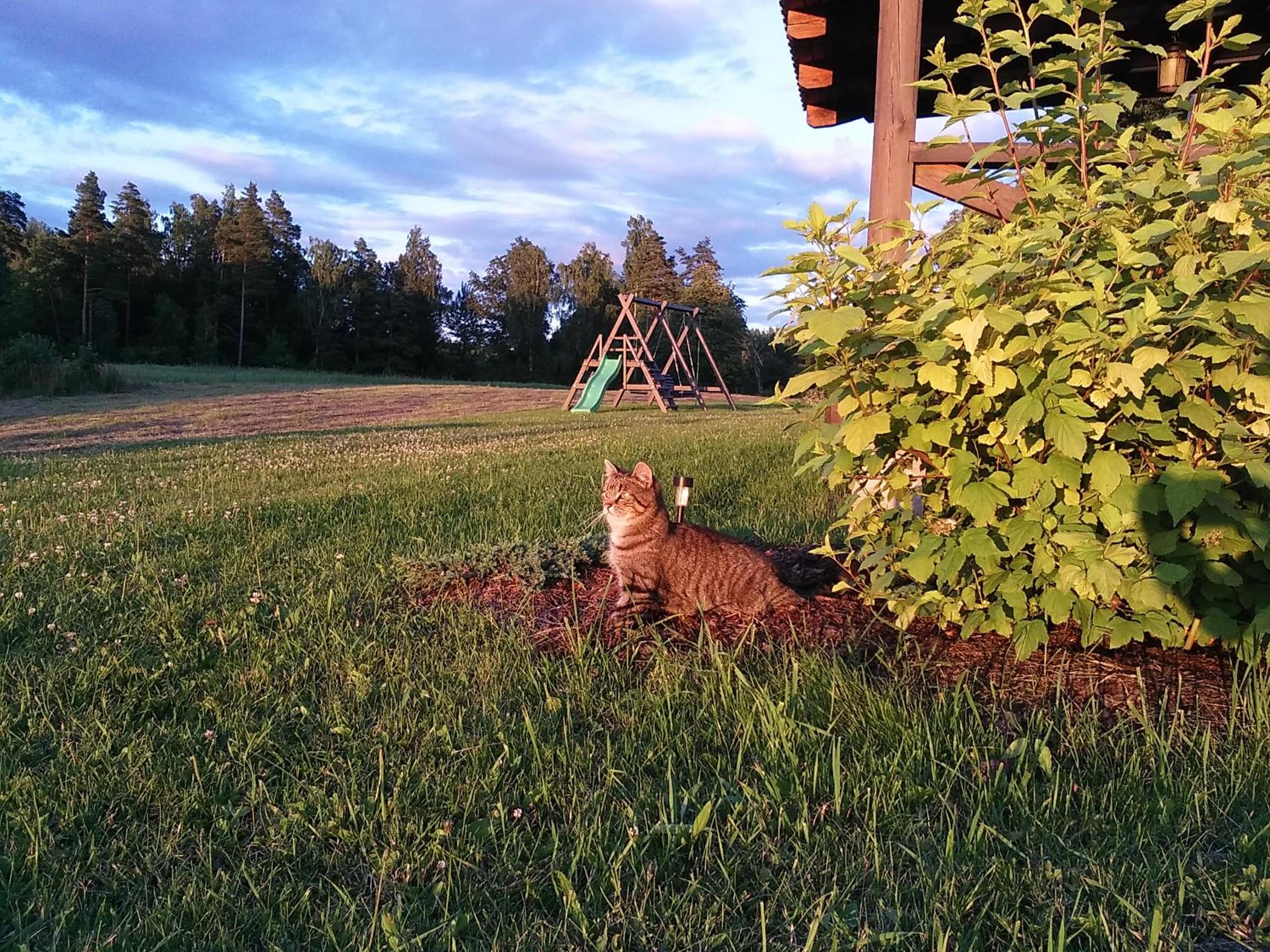 Vacation Home photo 3
