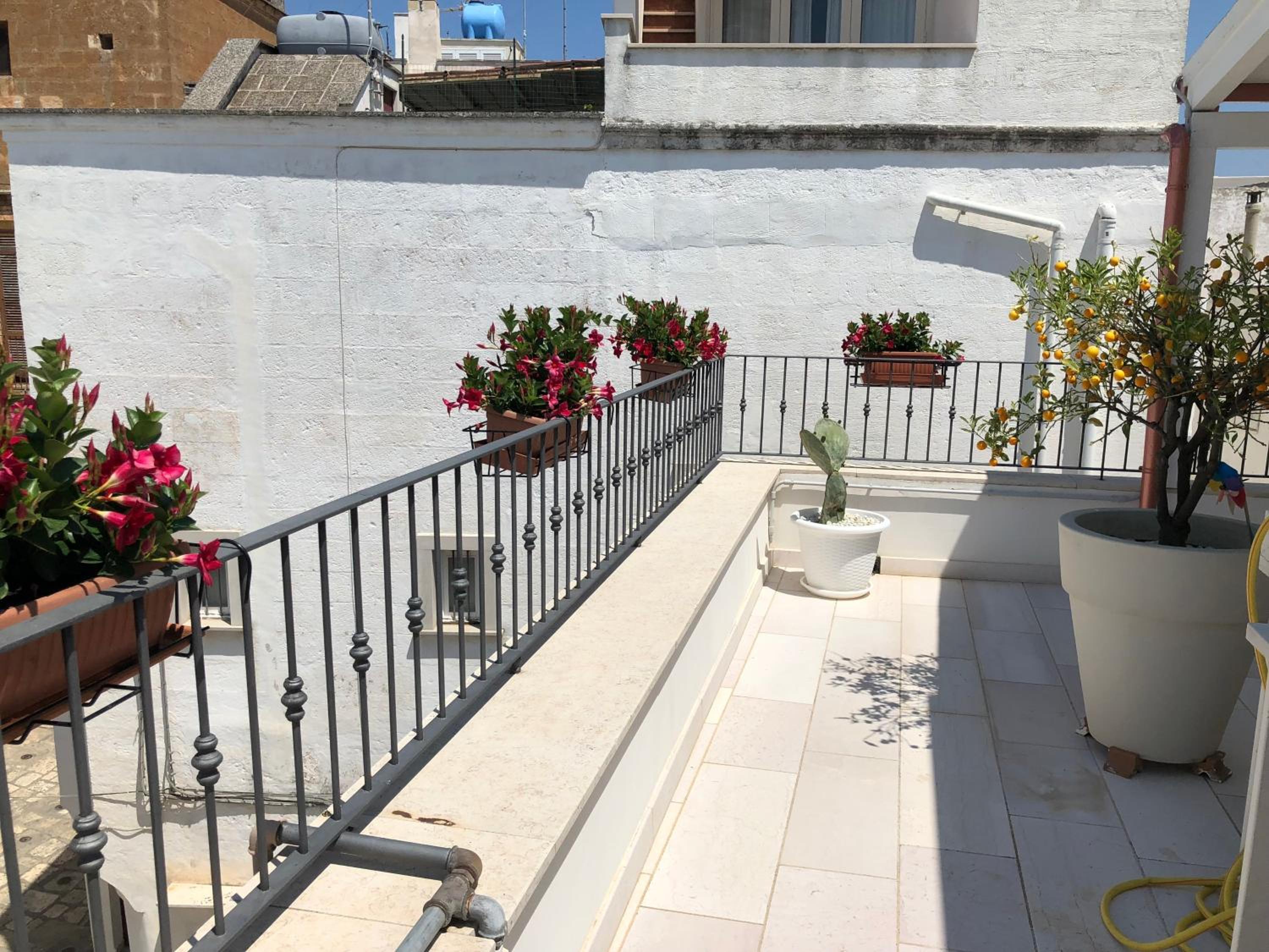 Apartment with Terrace photo 2