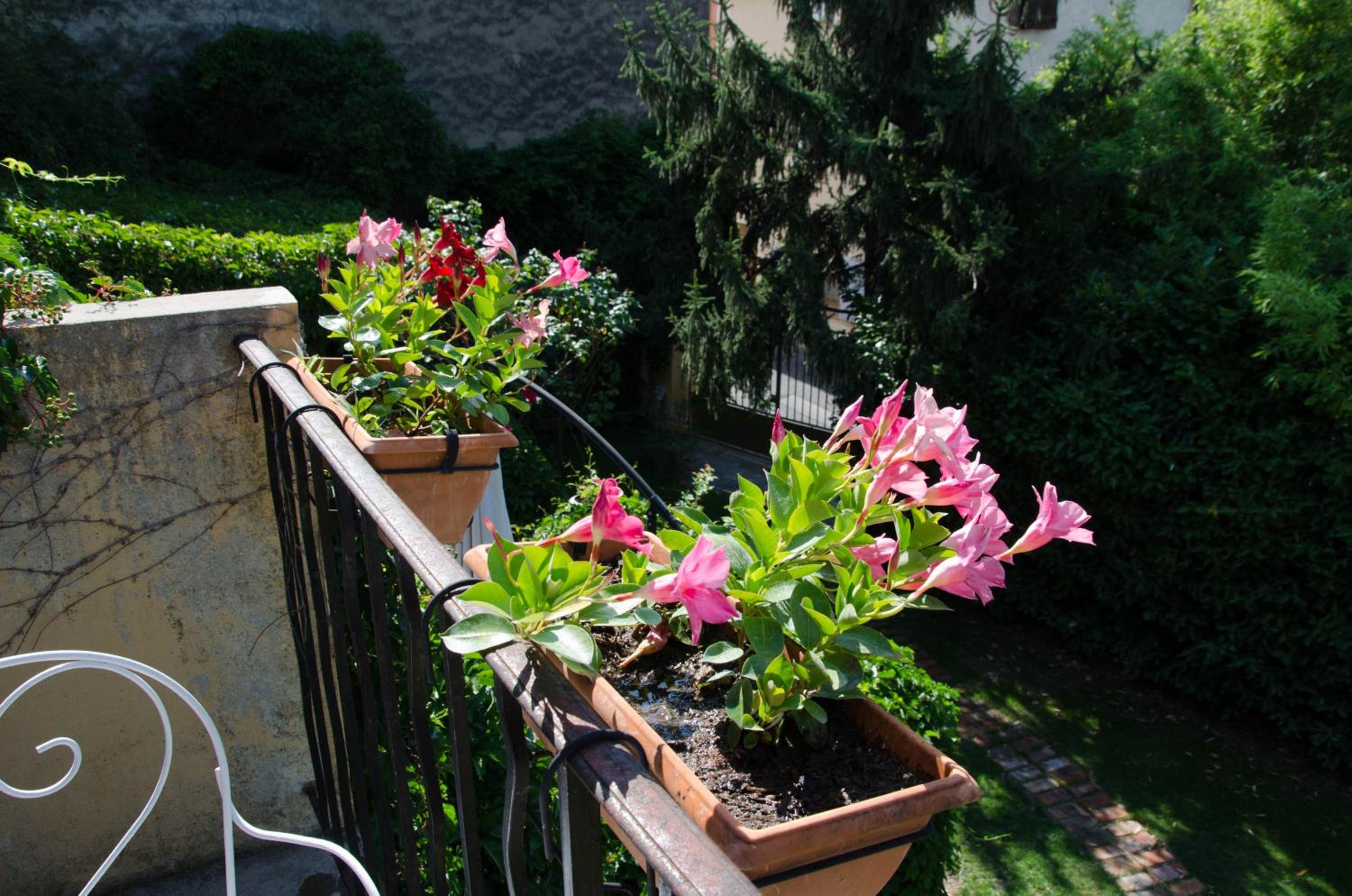 Double Room with Garden View photo 3