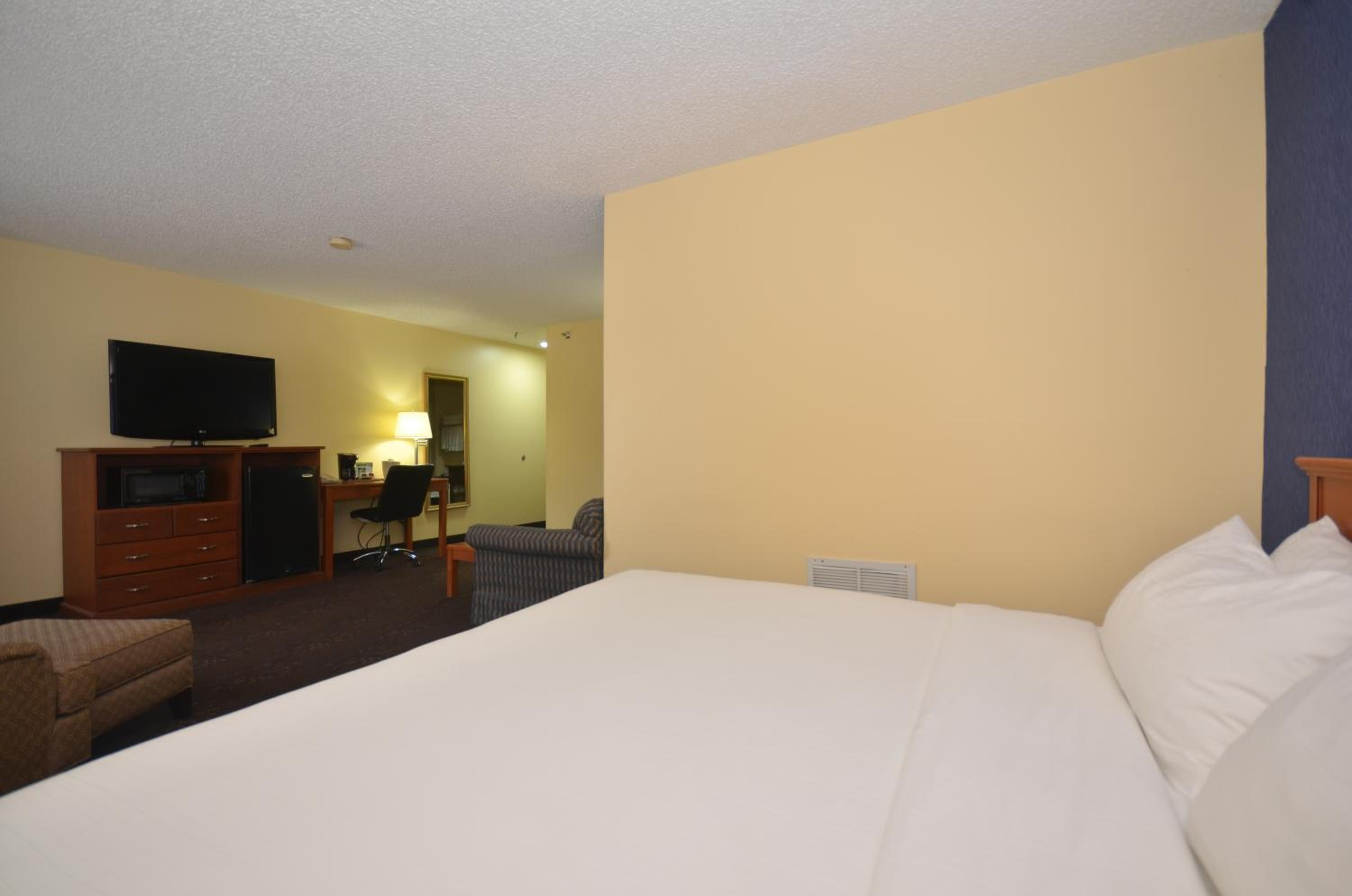 Deluxe King Studio Suite - Non-Smoking - Photo 5