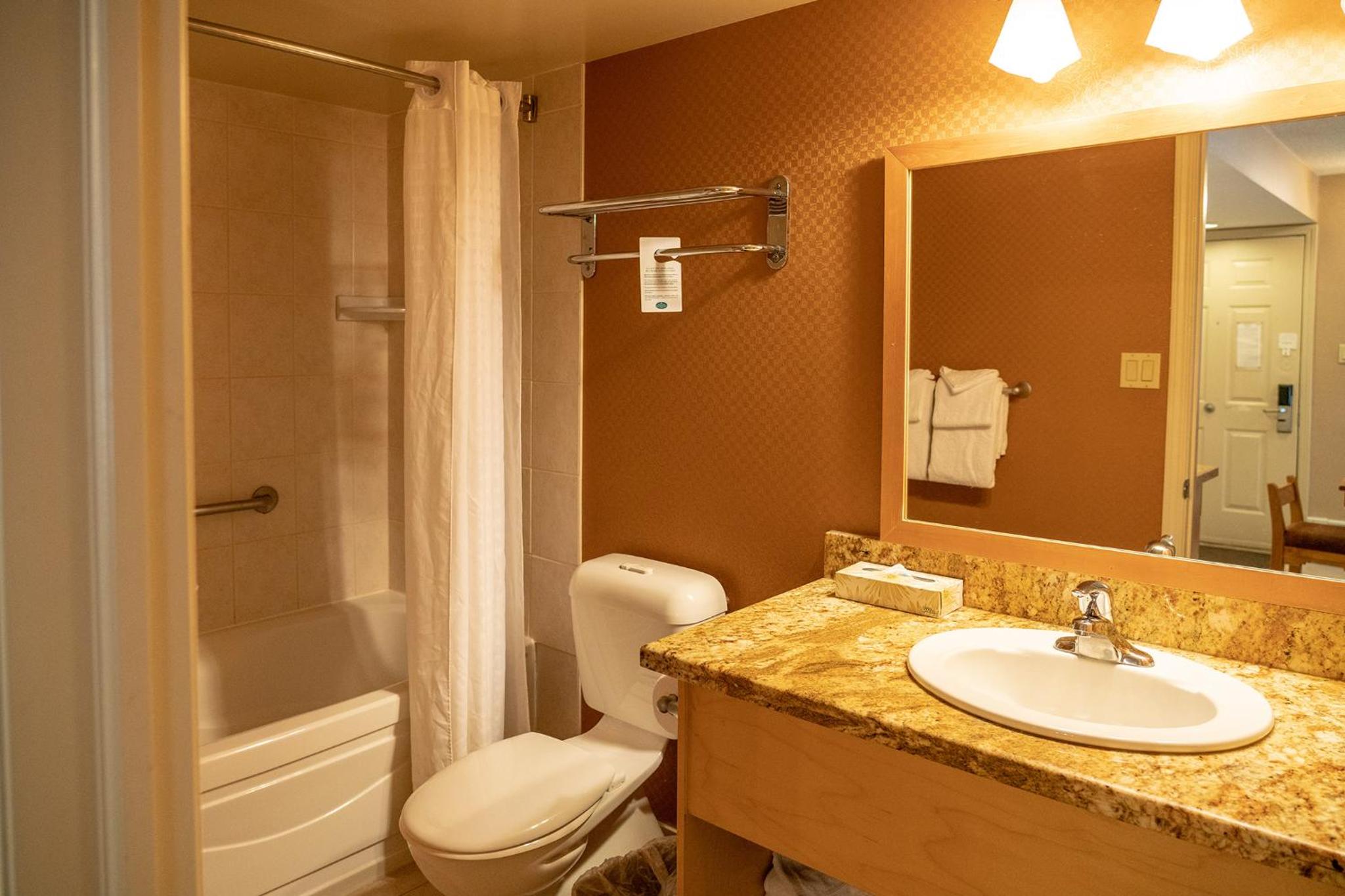 One-Bedroom Suite - Photo 5