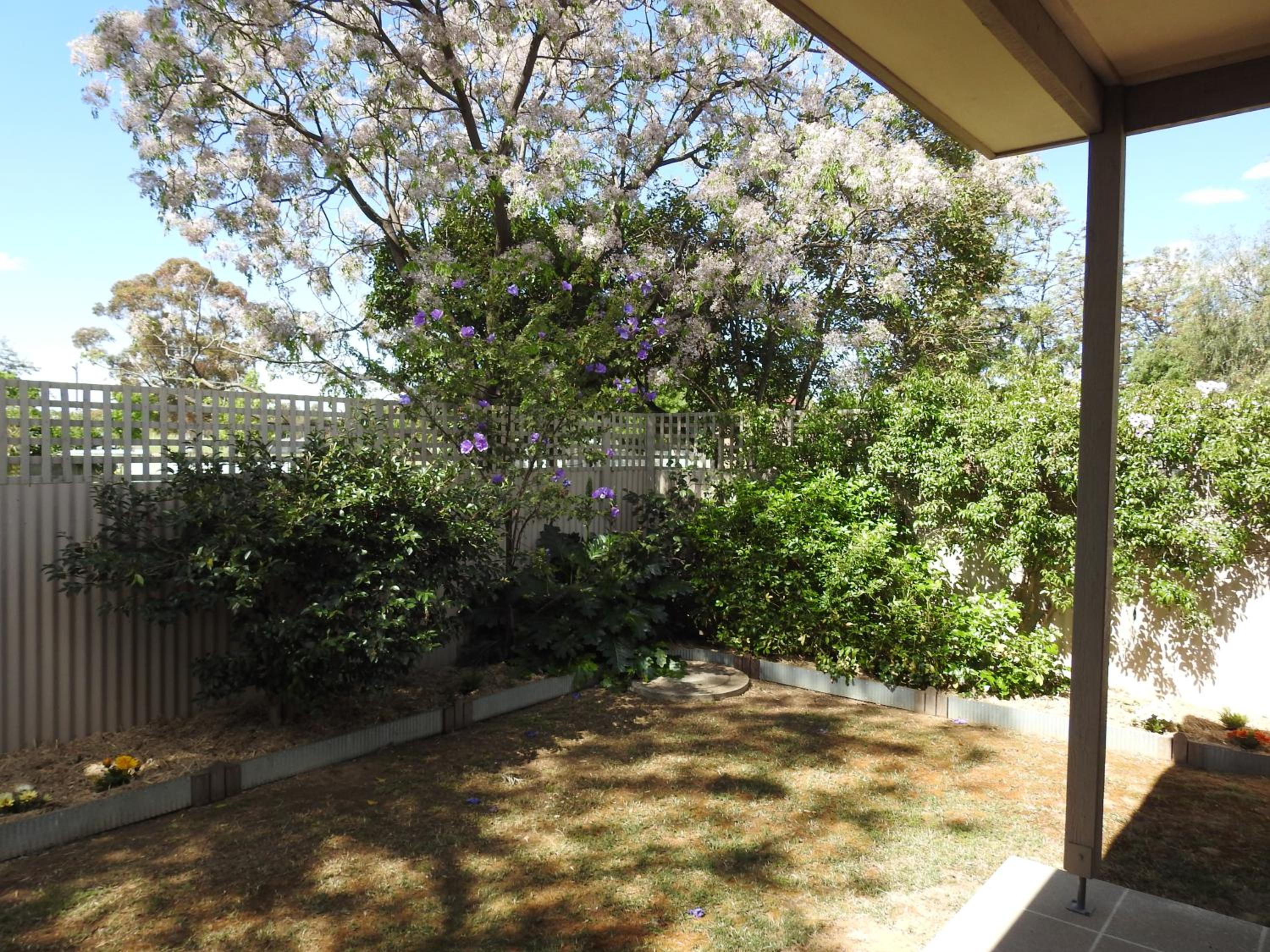 Suite with Courtyard photo 2