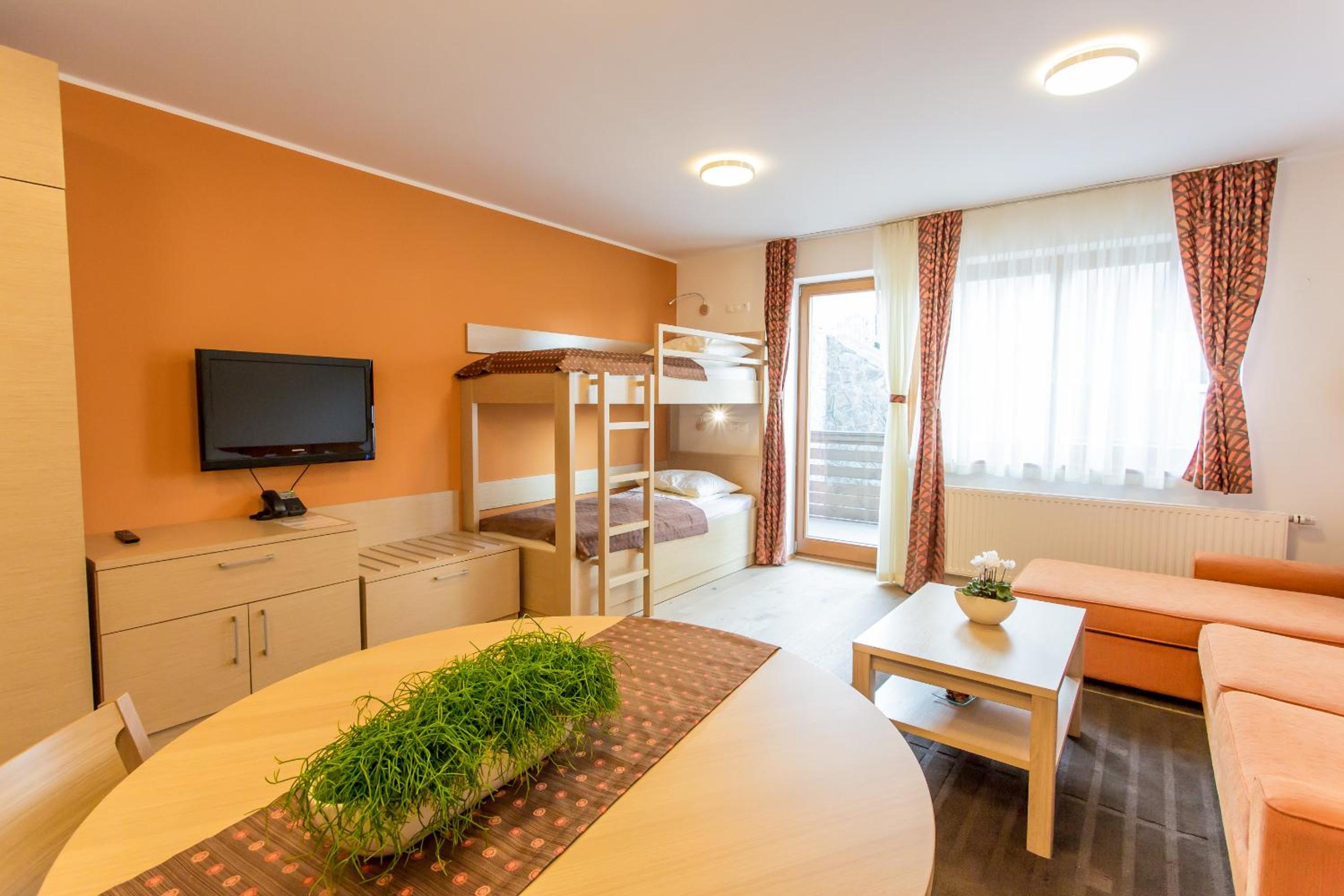 Studio Apartment photo 2
