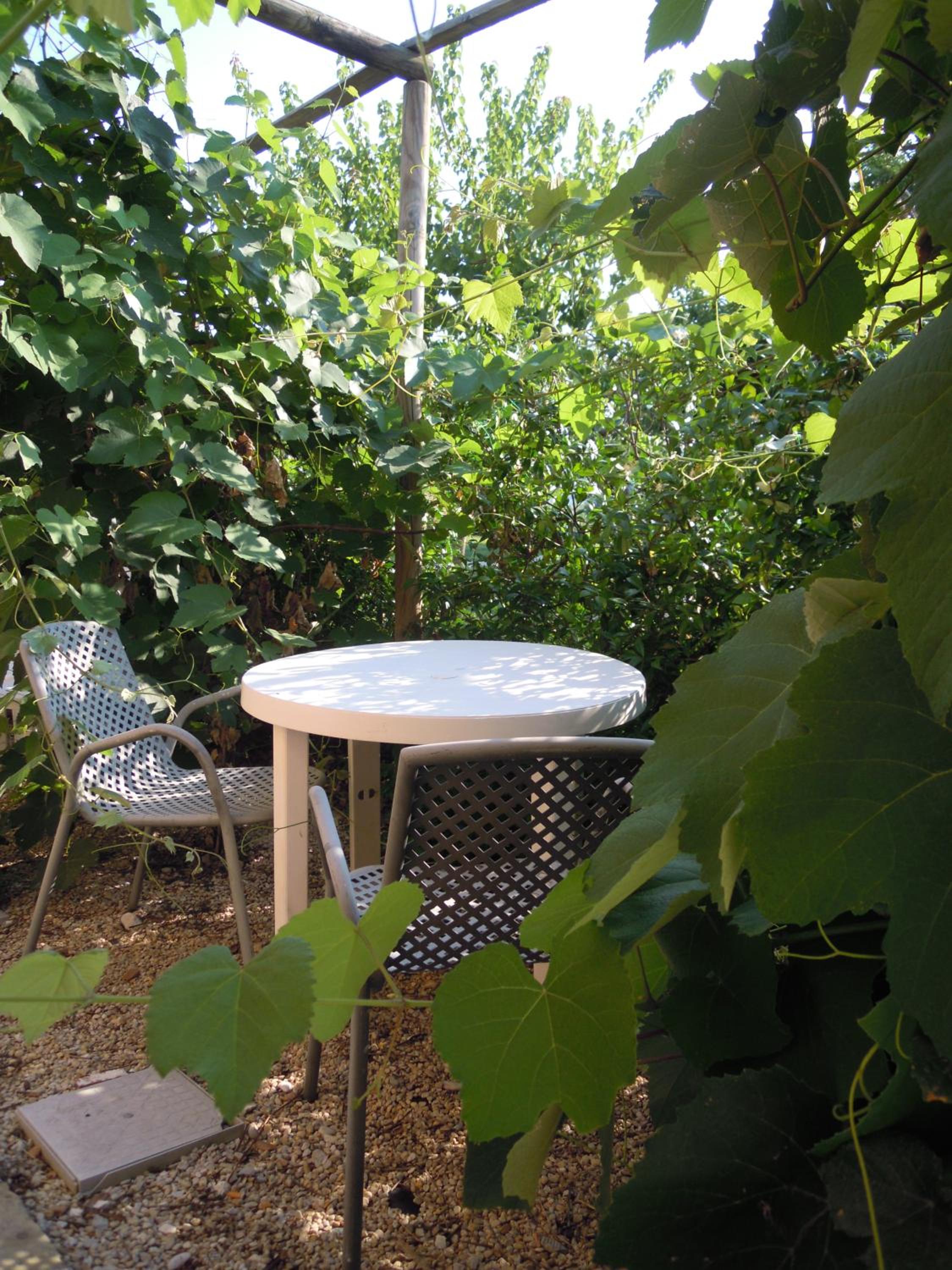 King Room with Garden View - Photo 2