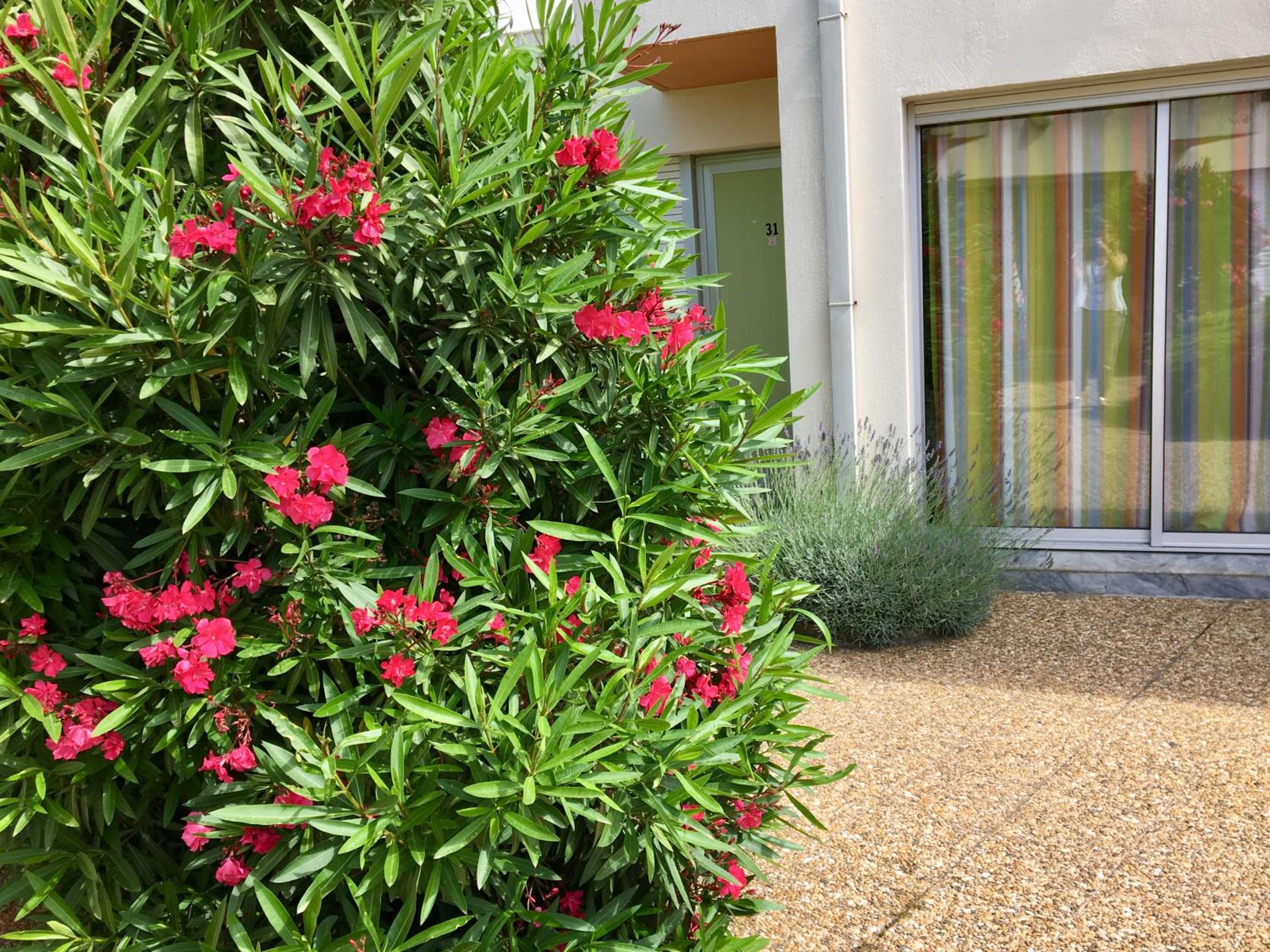 Twin/Double Motel Patio Room - Photo 14