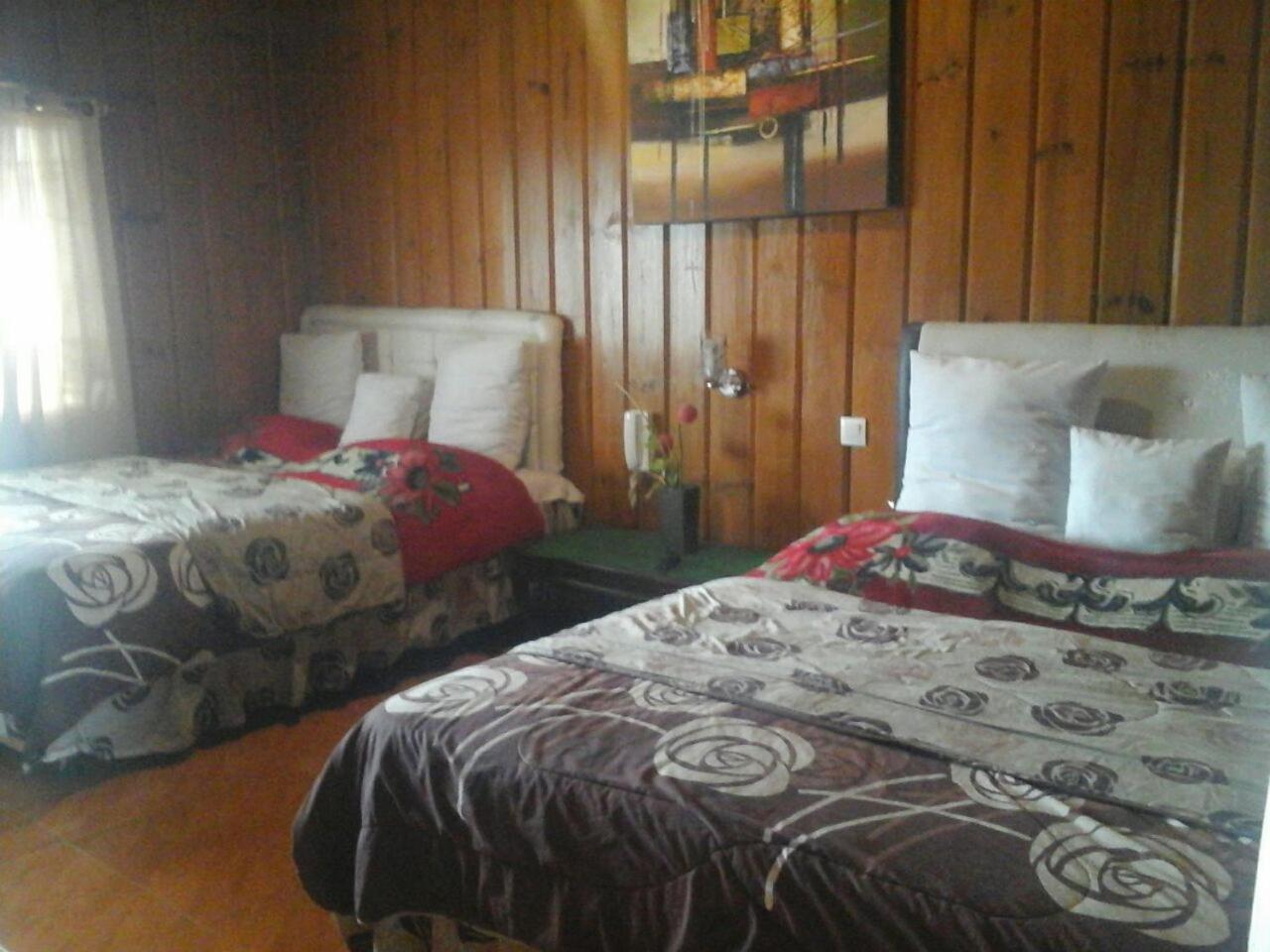 Deluxe Twin Room - Photo 1