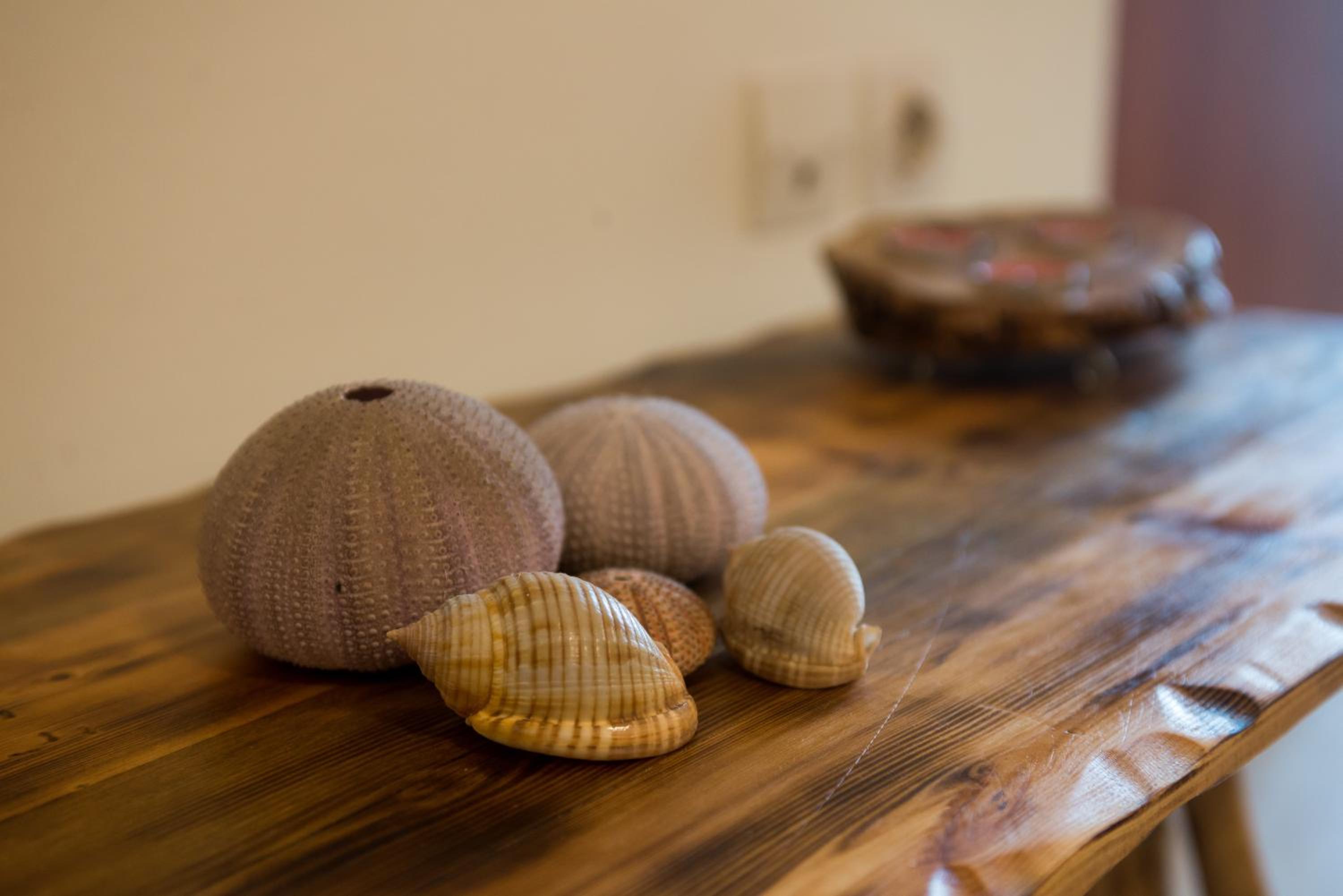 Apartment - Photo 14