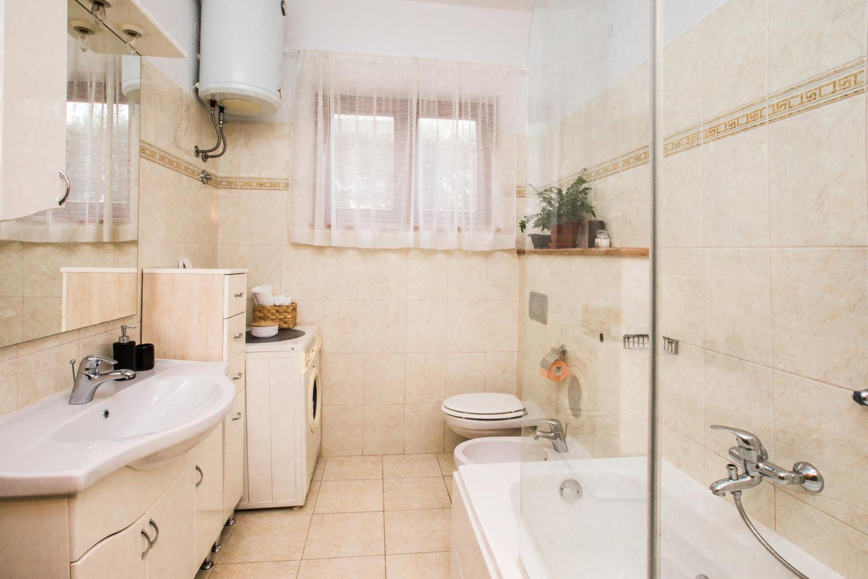 Apartment with Terrace photo 3