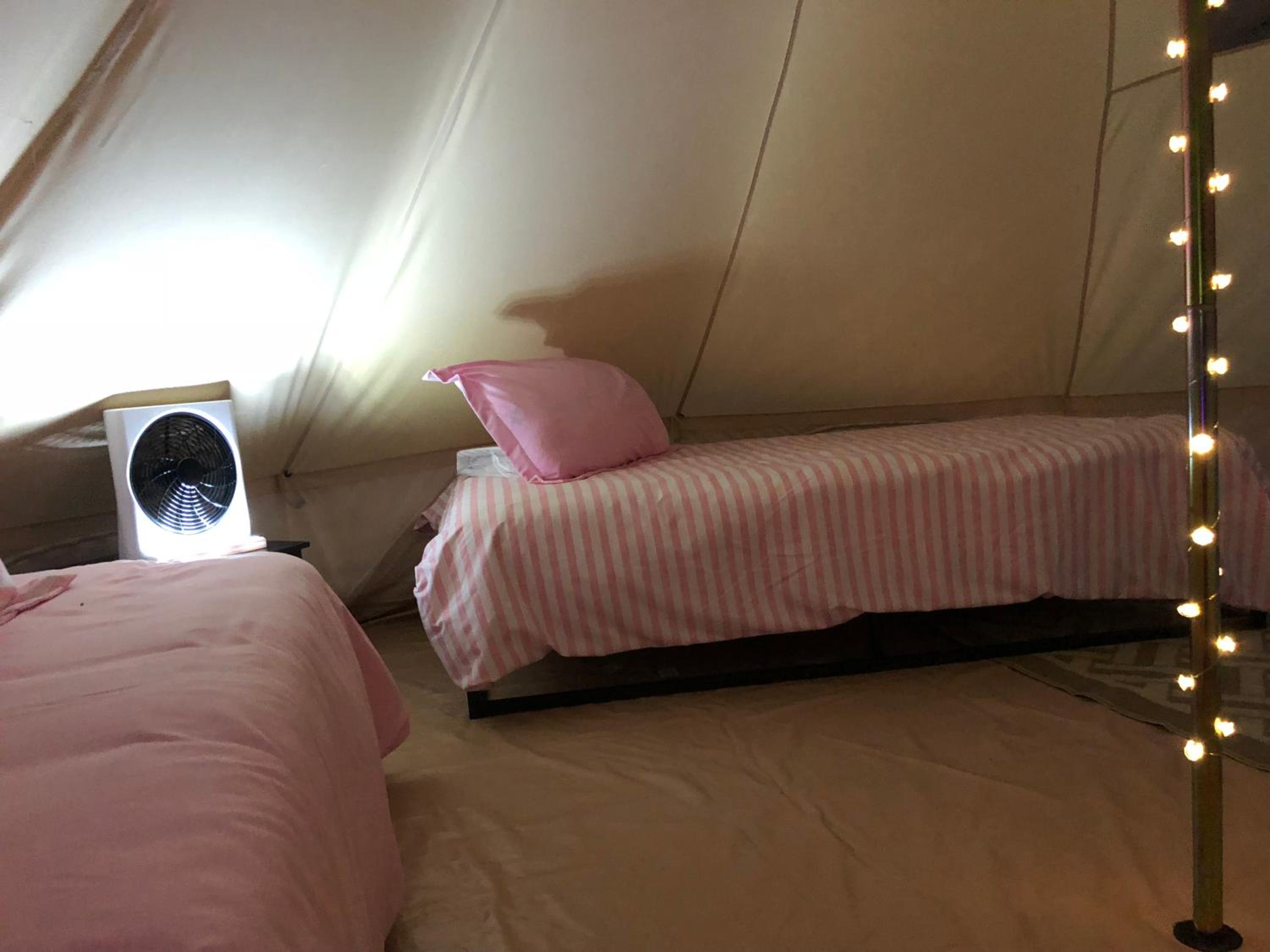Pretty In Pink photo 3
