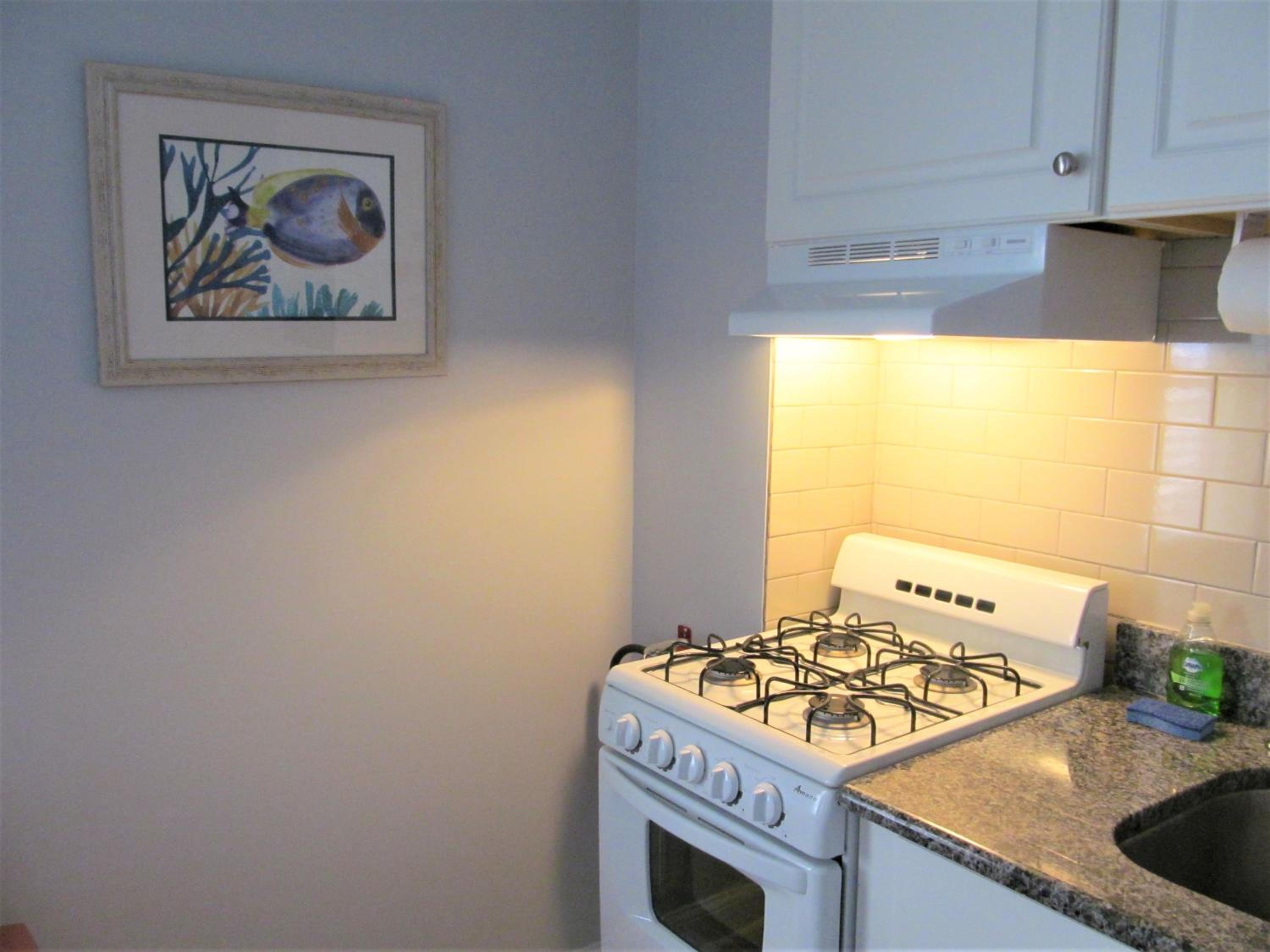 Two-Bedroom Suite with Kitchen - Photo 11