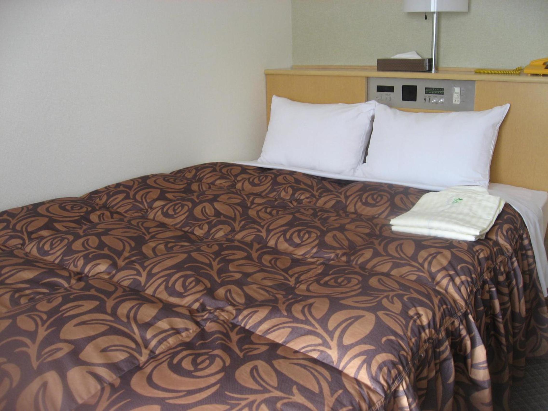 Economy Double Room