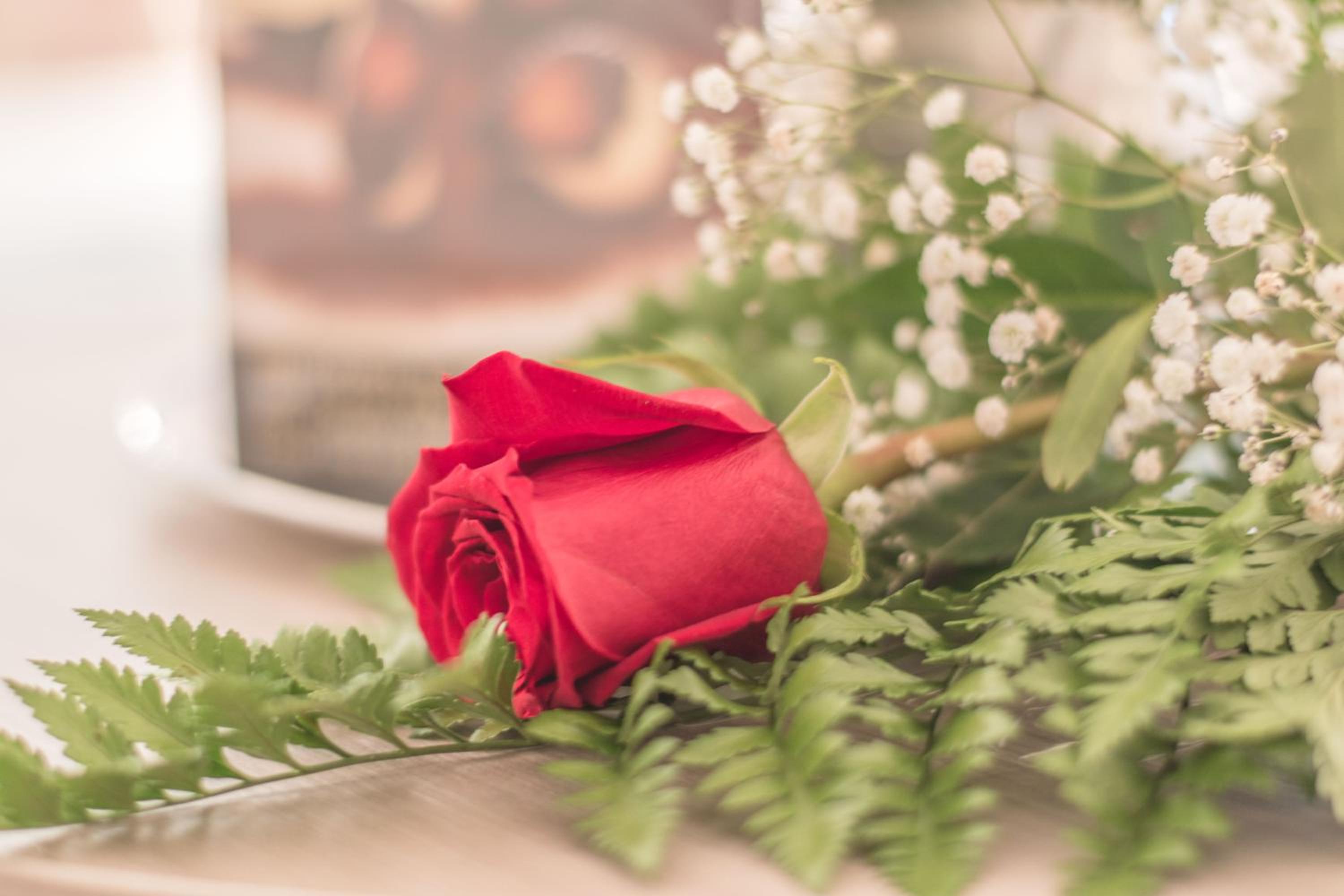 Romantic Special Offer photo 2