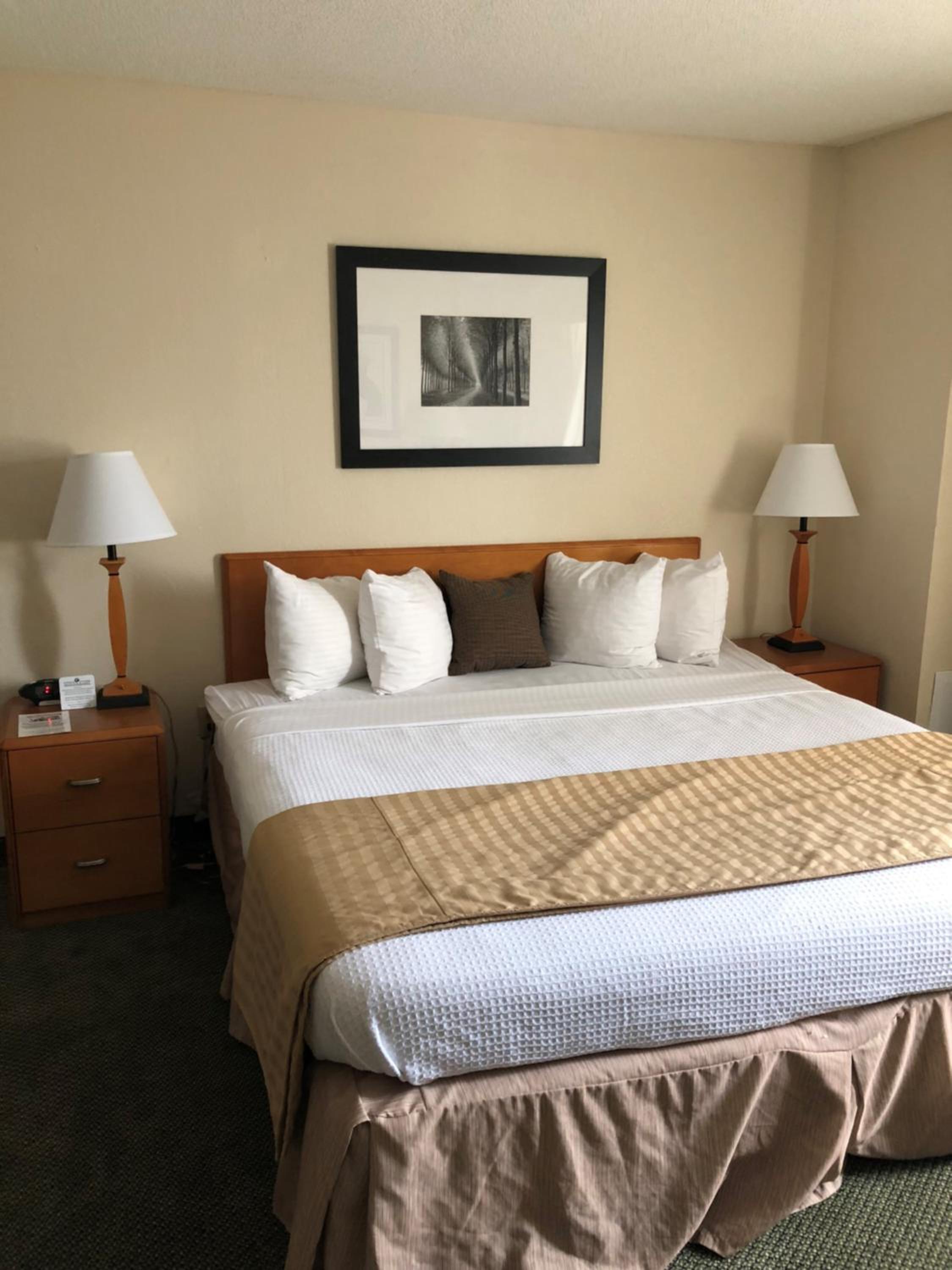 King Room photo 1