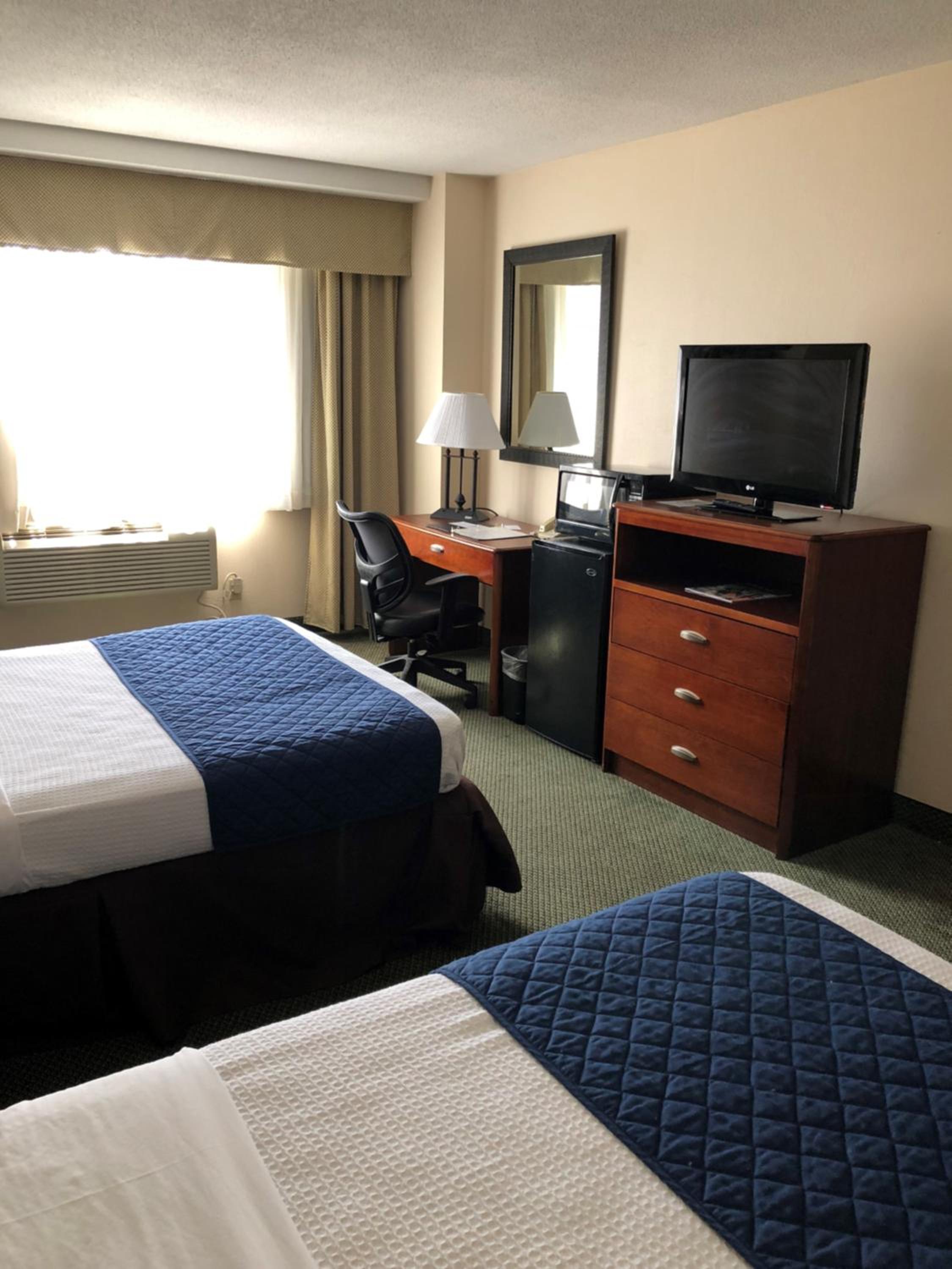 Double Mini Suite photo 2