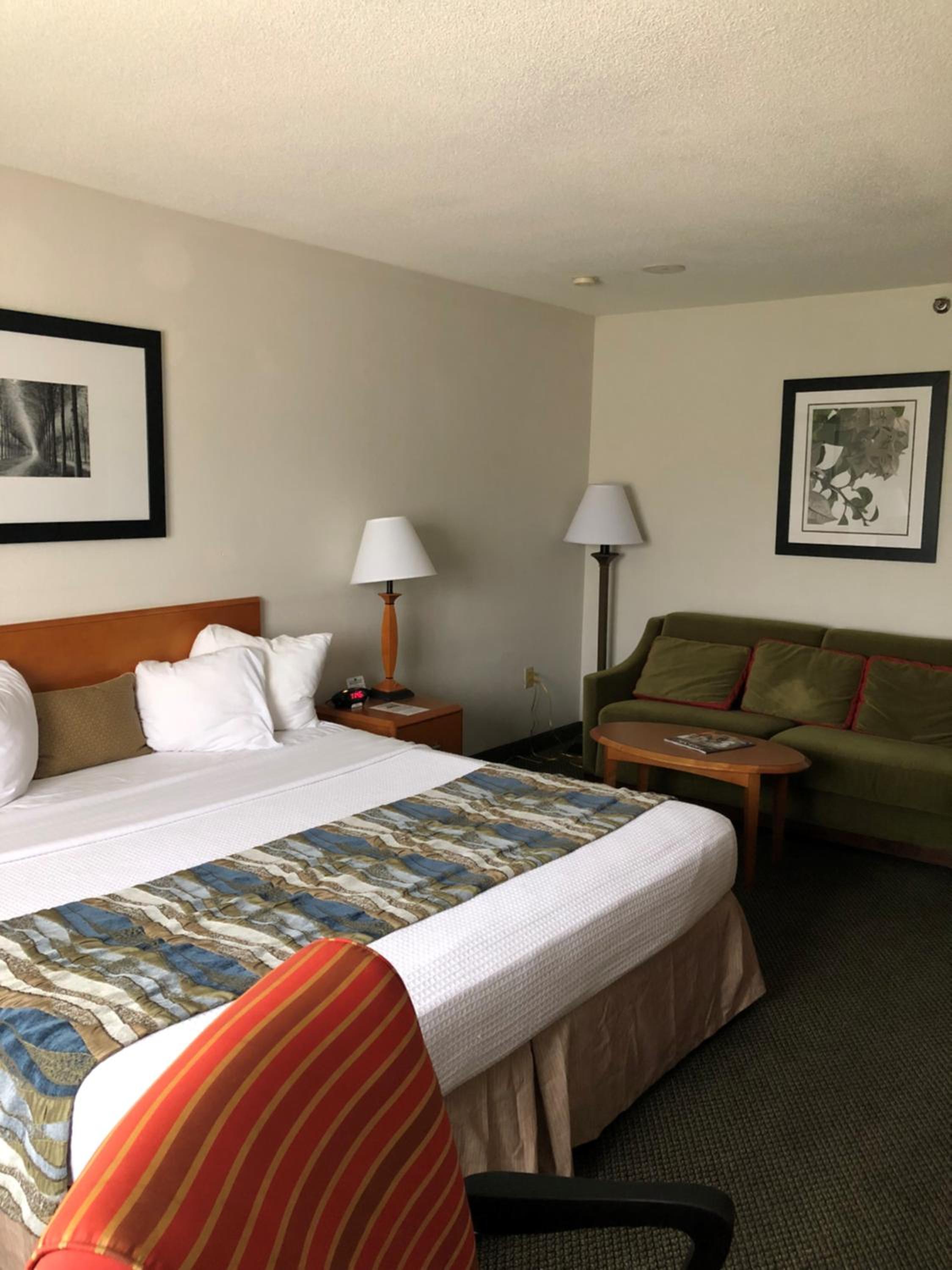 King Mini Suite photo 3
