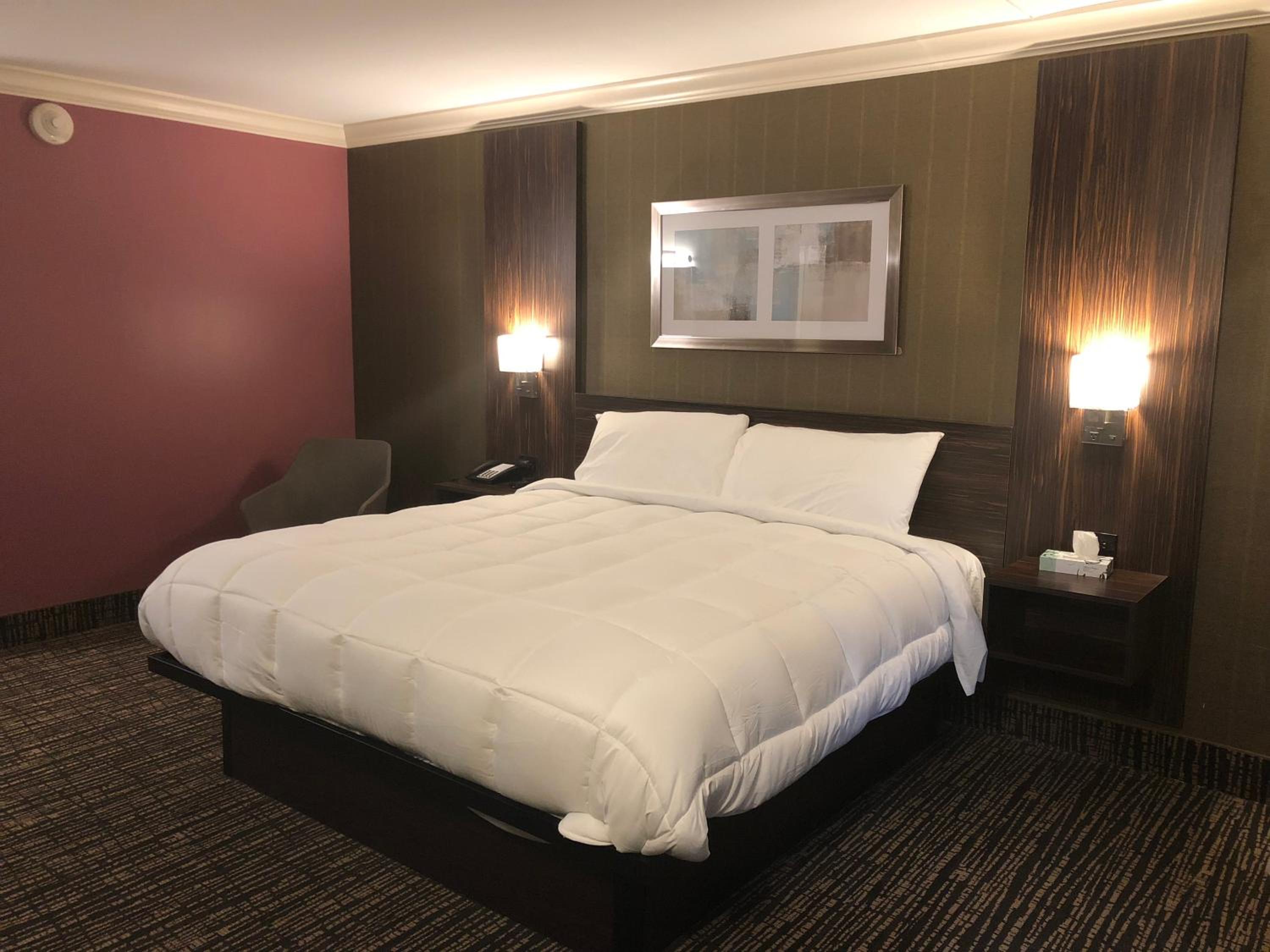 Standard King Room - Photo 6