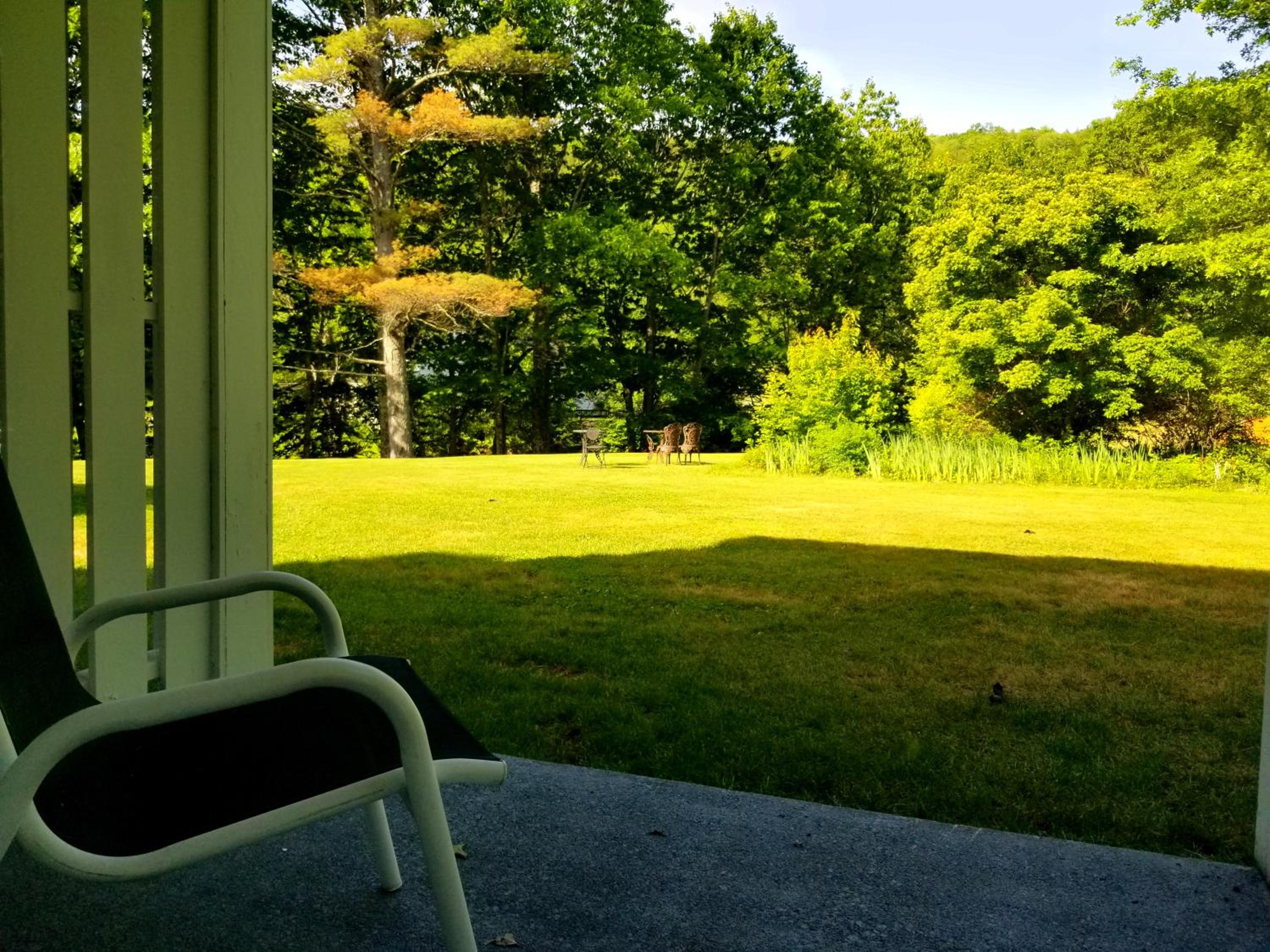 Outdoor garden view with a green lawn, trees, and a white chair on a concrete patio.