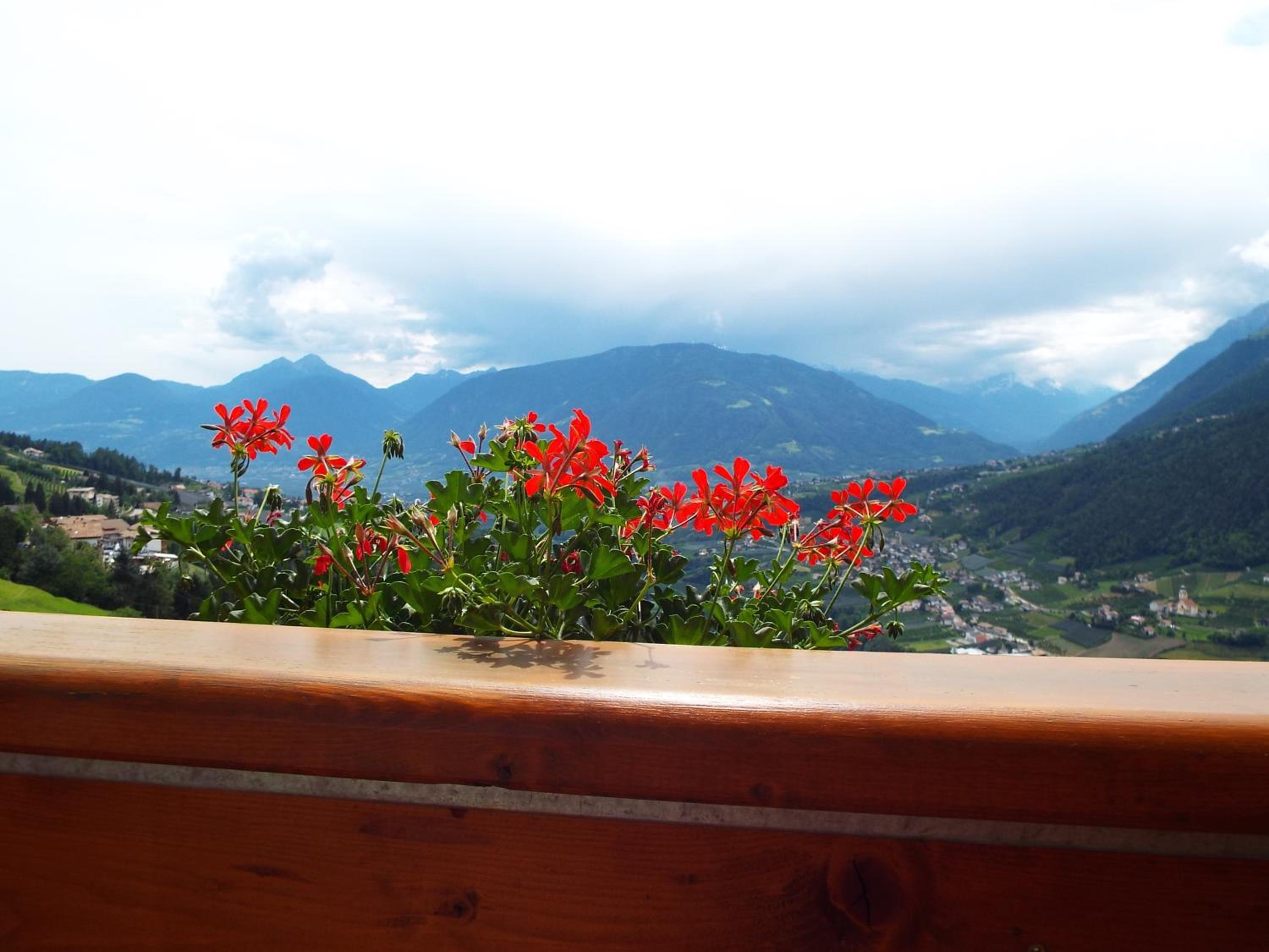 Double Room with Balcony photo 3