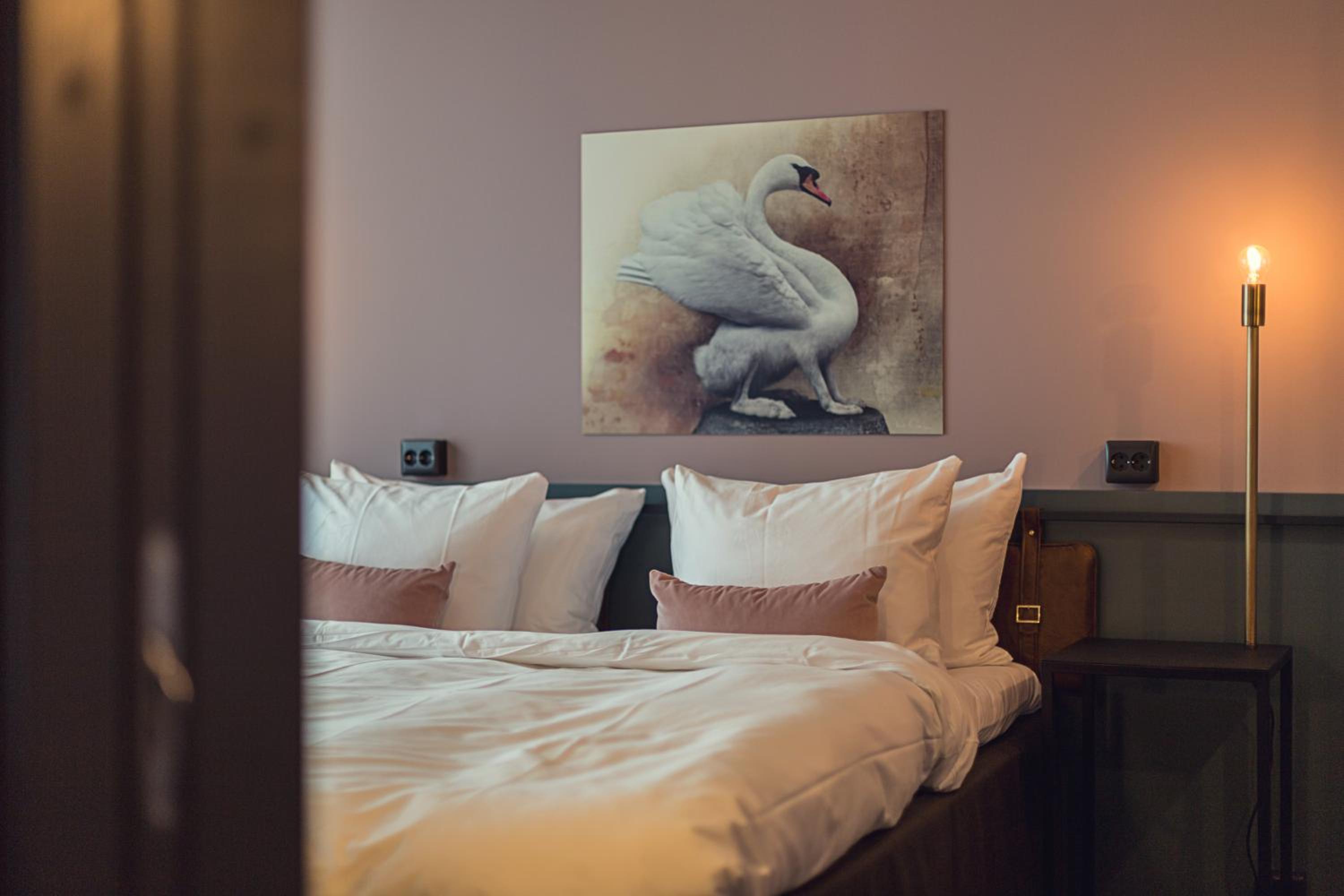 Suite with King Bed and Terrace - Non-Smoking - Photo 19
