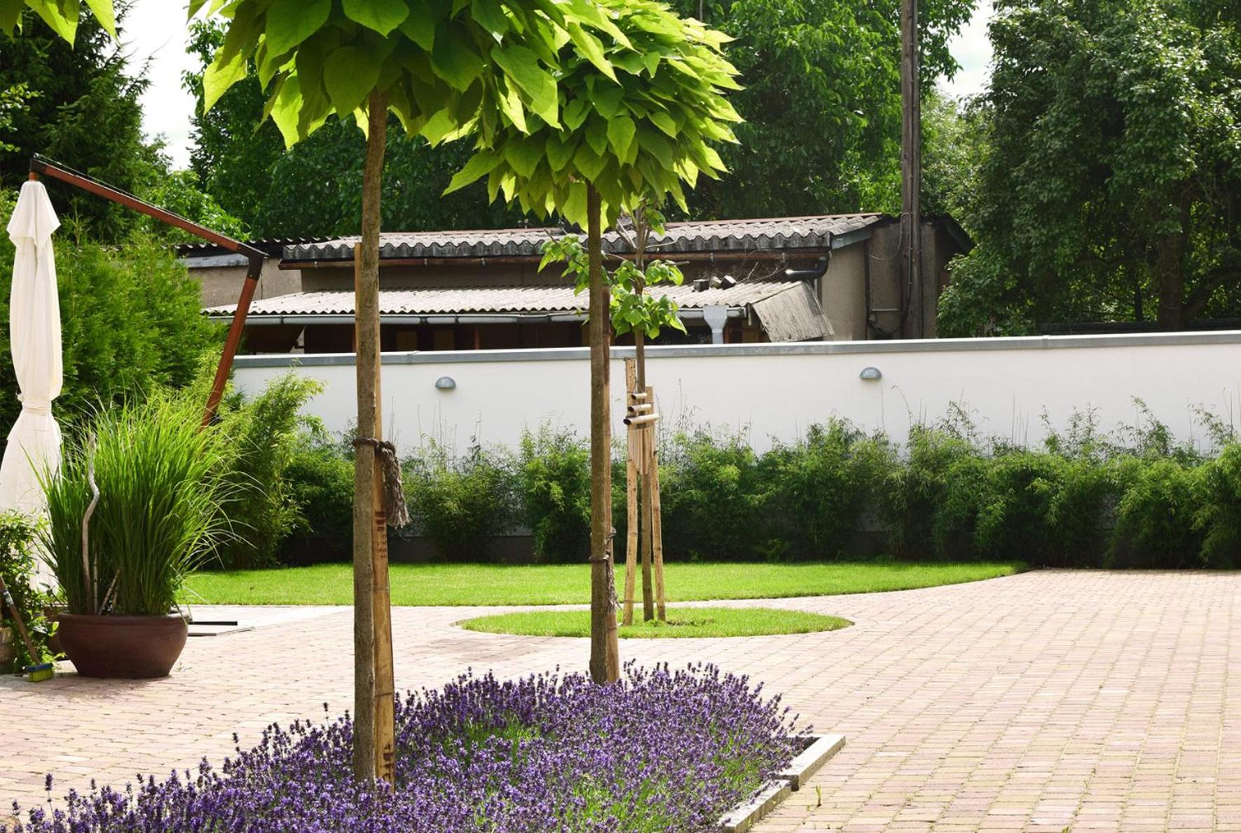 Apartment with Terrace photo 2