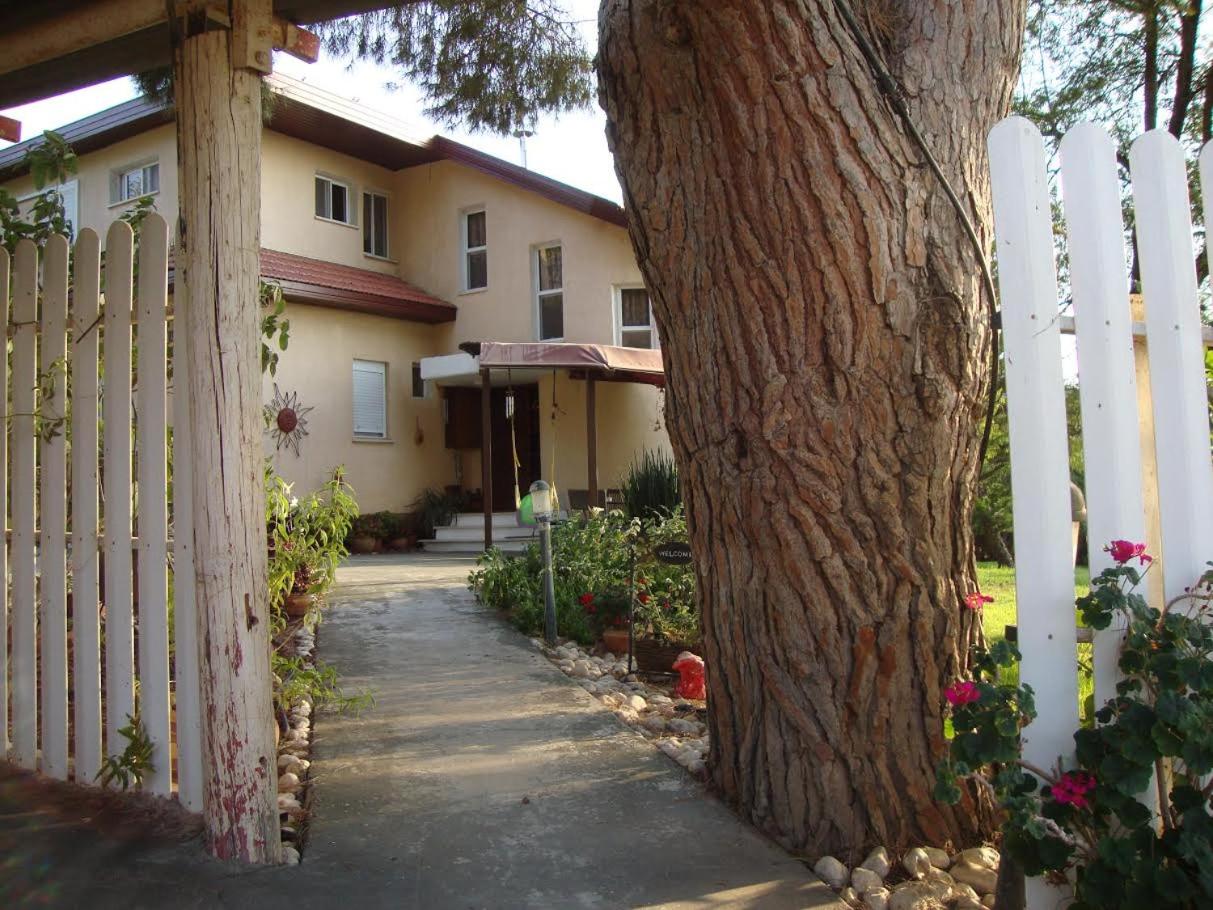 Apartment - Photo 14