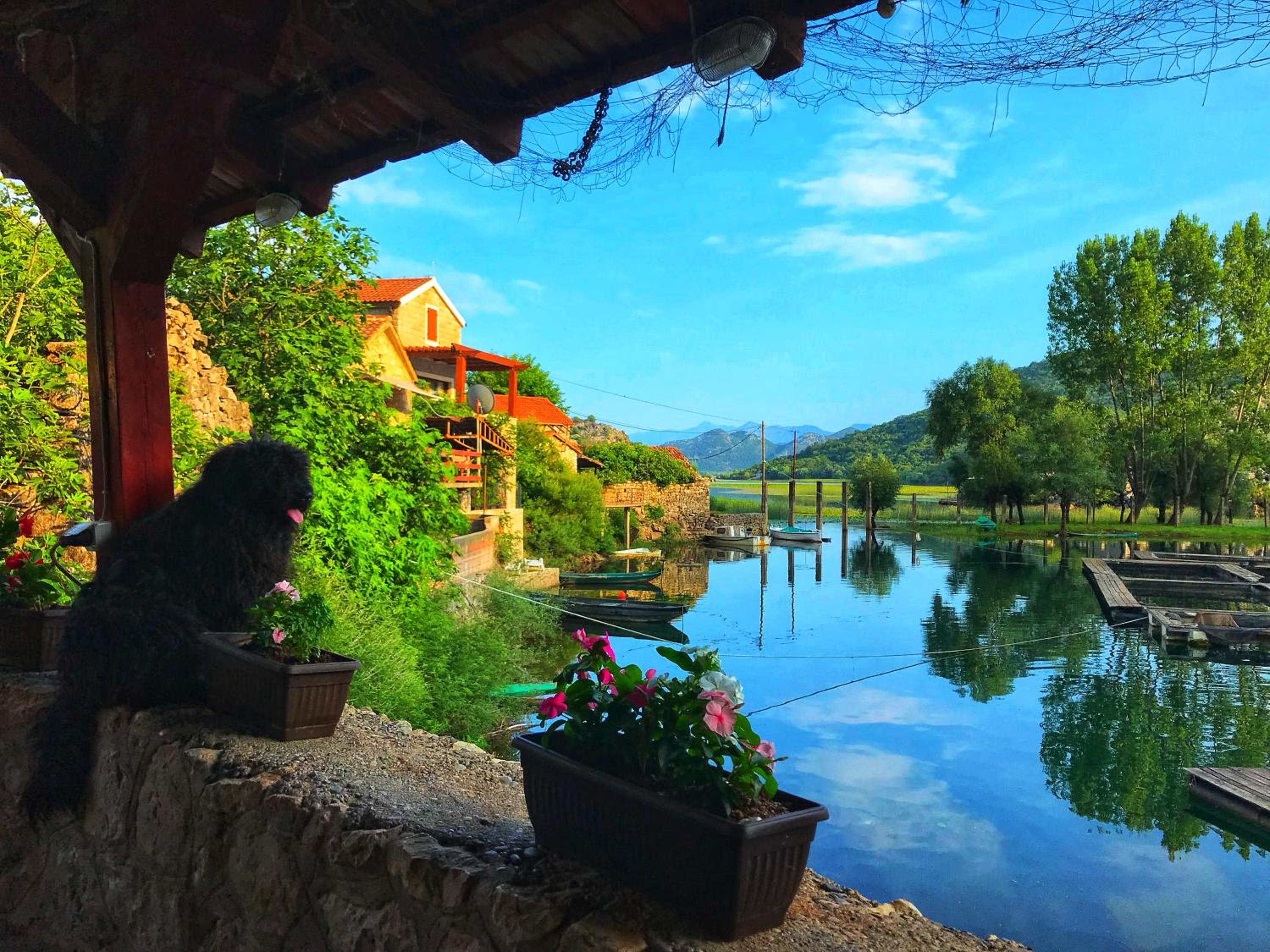 Apartment With Lake View