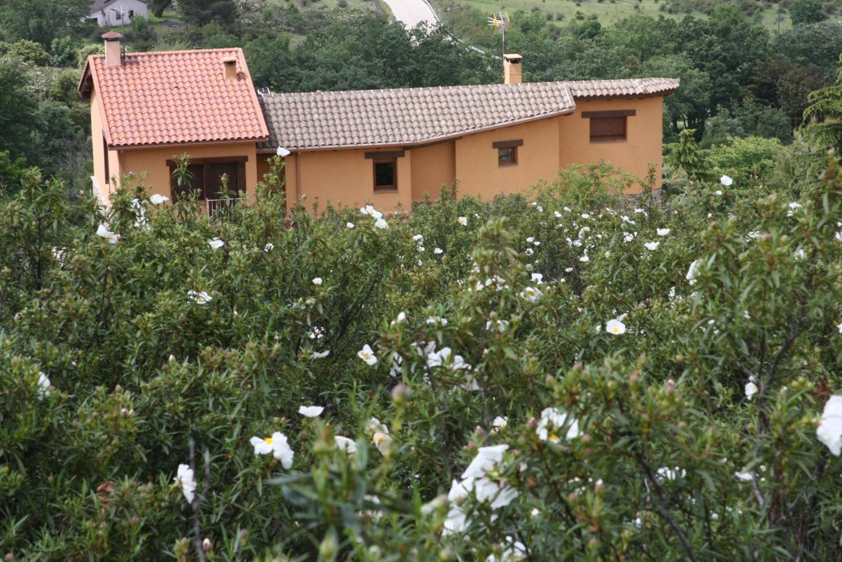 Upper Floor Apartment With Balcony And Valley View photo 2