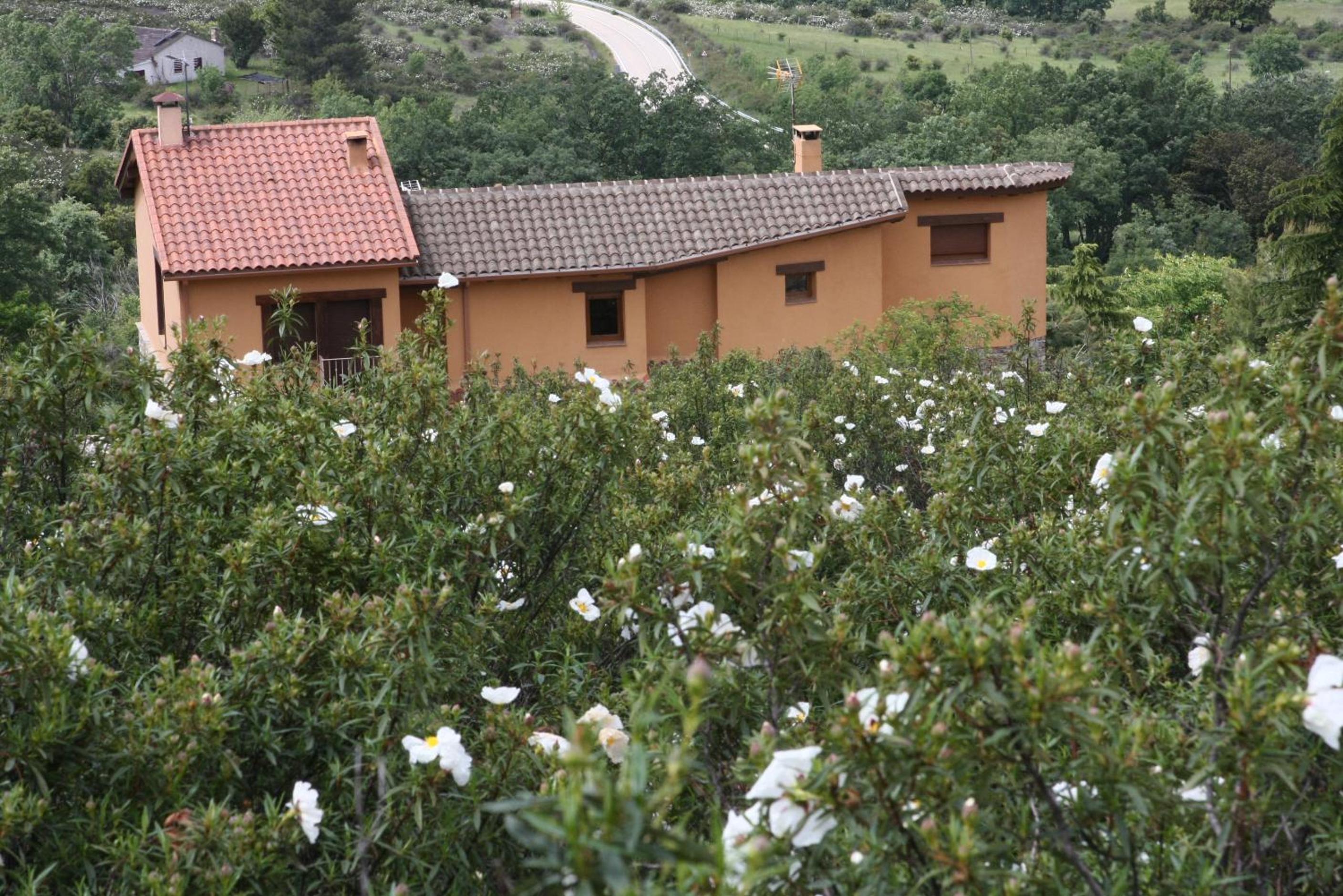 Upper Floor Apartment With Balcony And Valley View photo 3