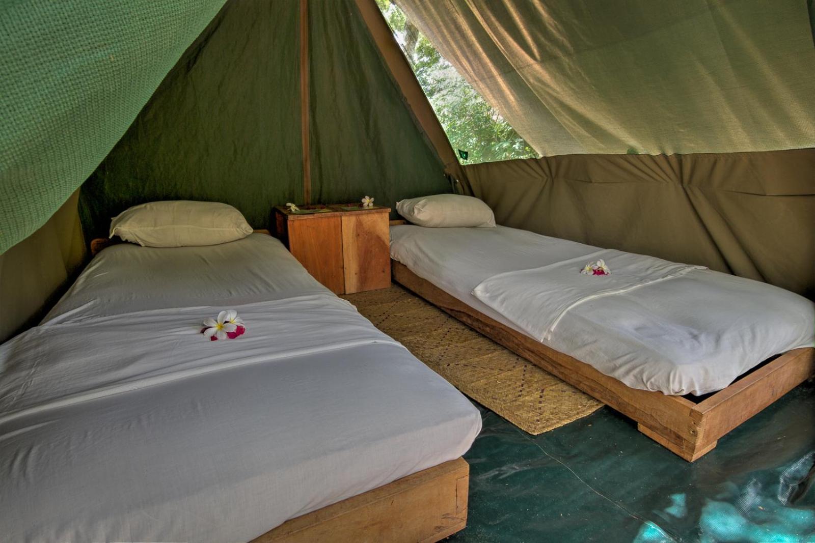 Tent photo 2
