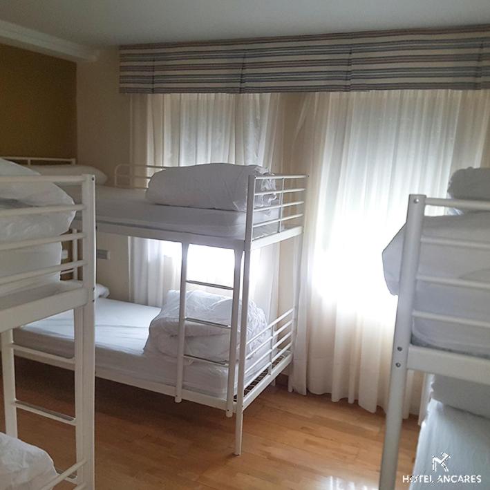 Bunk Bed in Mixed Dormitory Room
