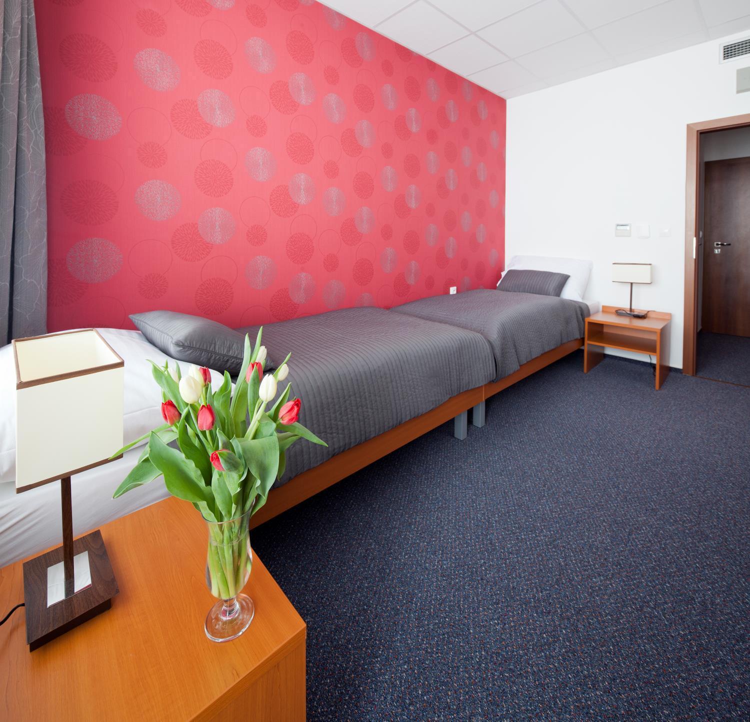 Double or Twin Room - Photo 4