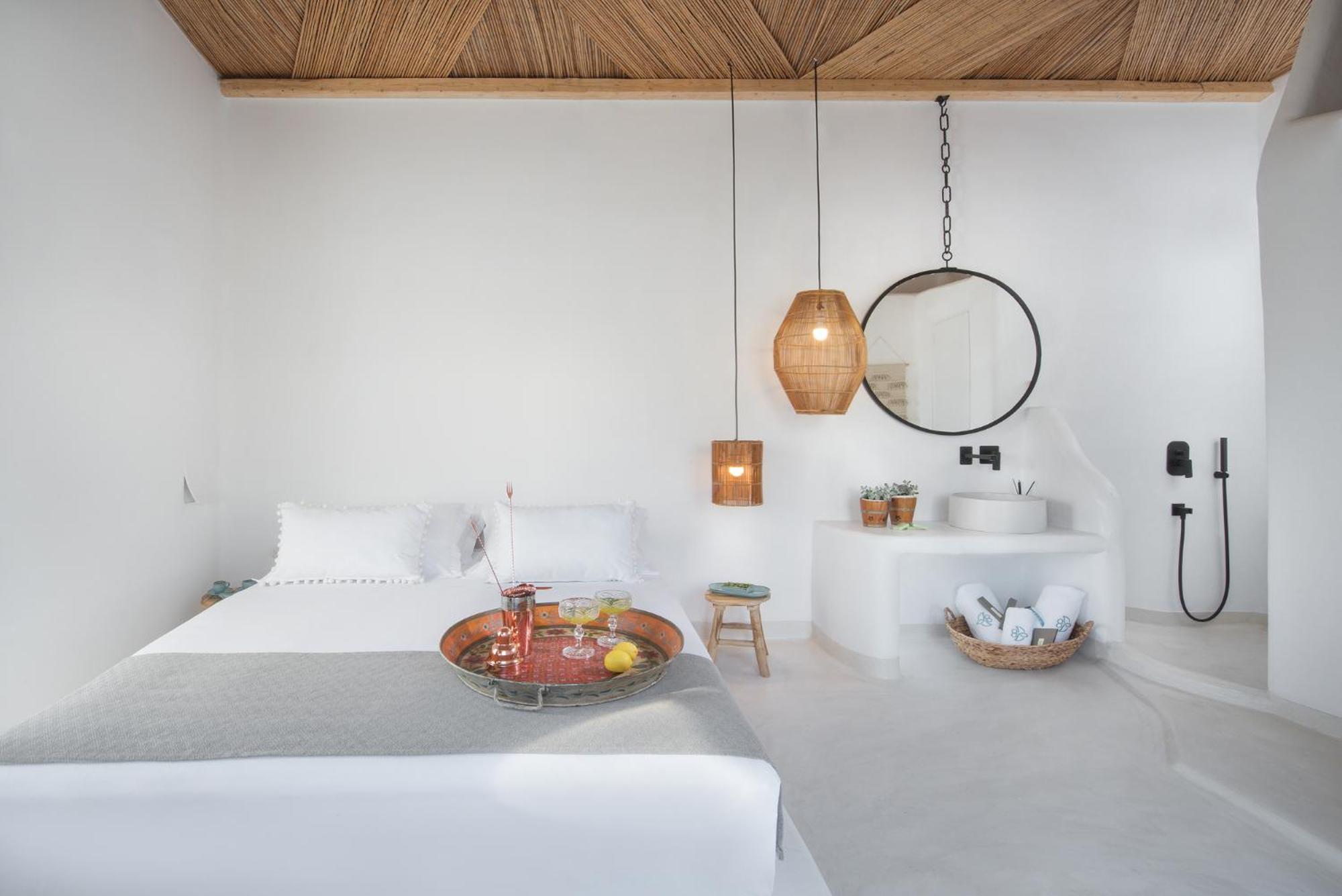 Superior Double Room with Rooftop Plunge Pool photo 2
