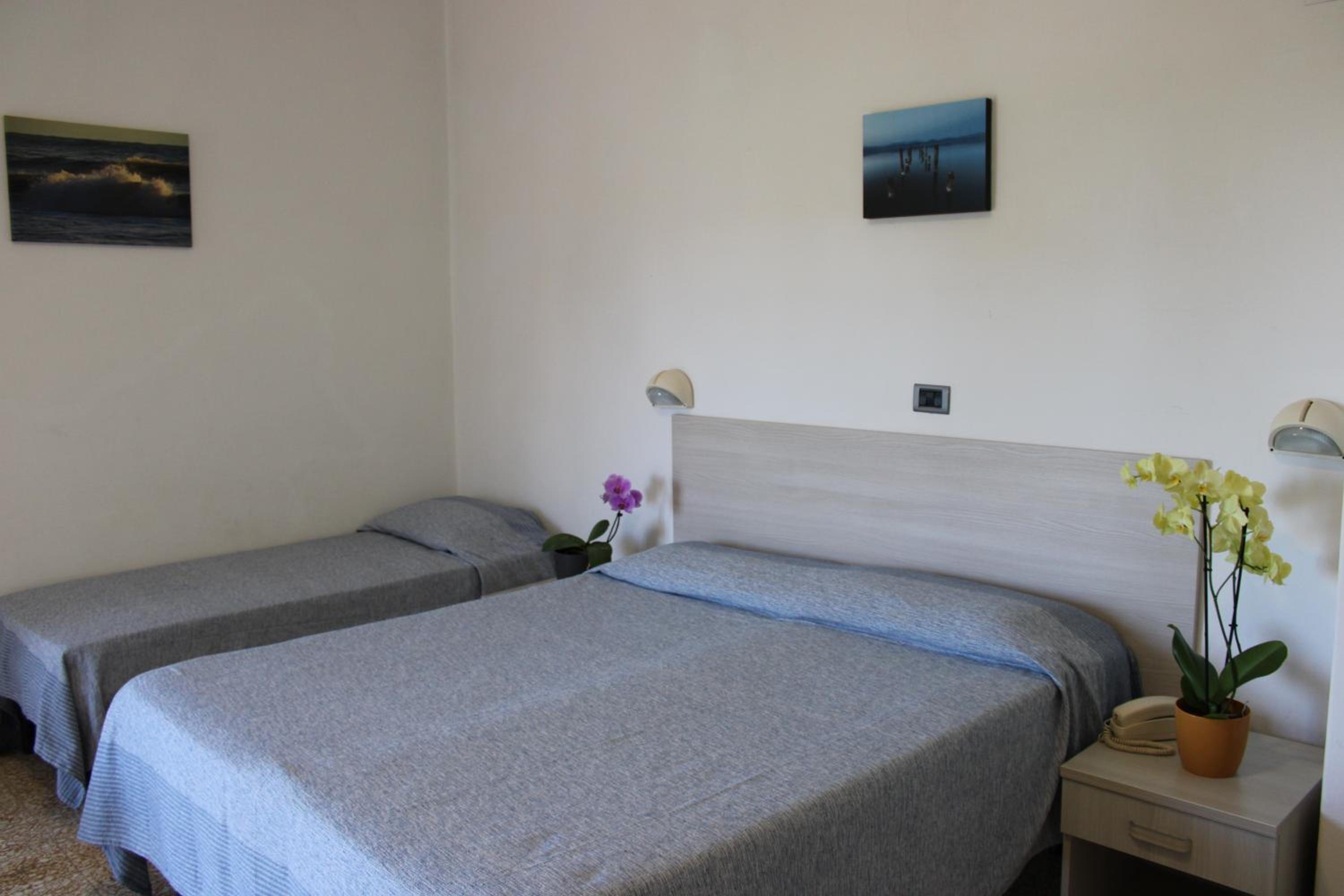 Standard Double Room photo 3