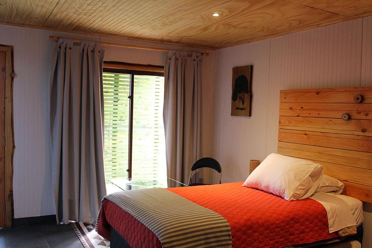 Twin Room photo 3