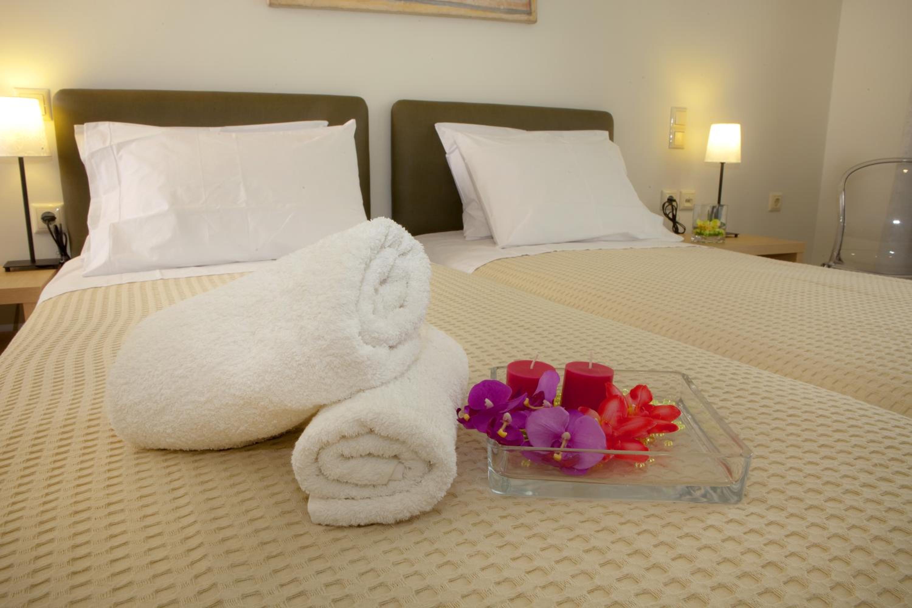Double or Twin Room photo 1