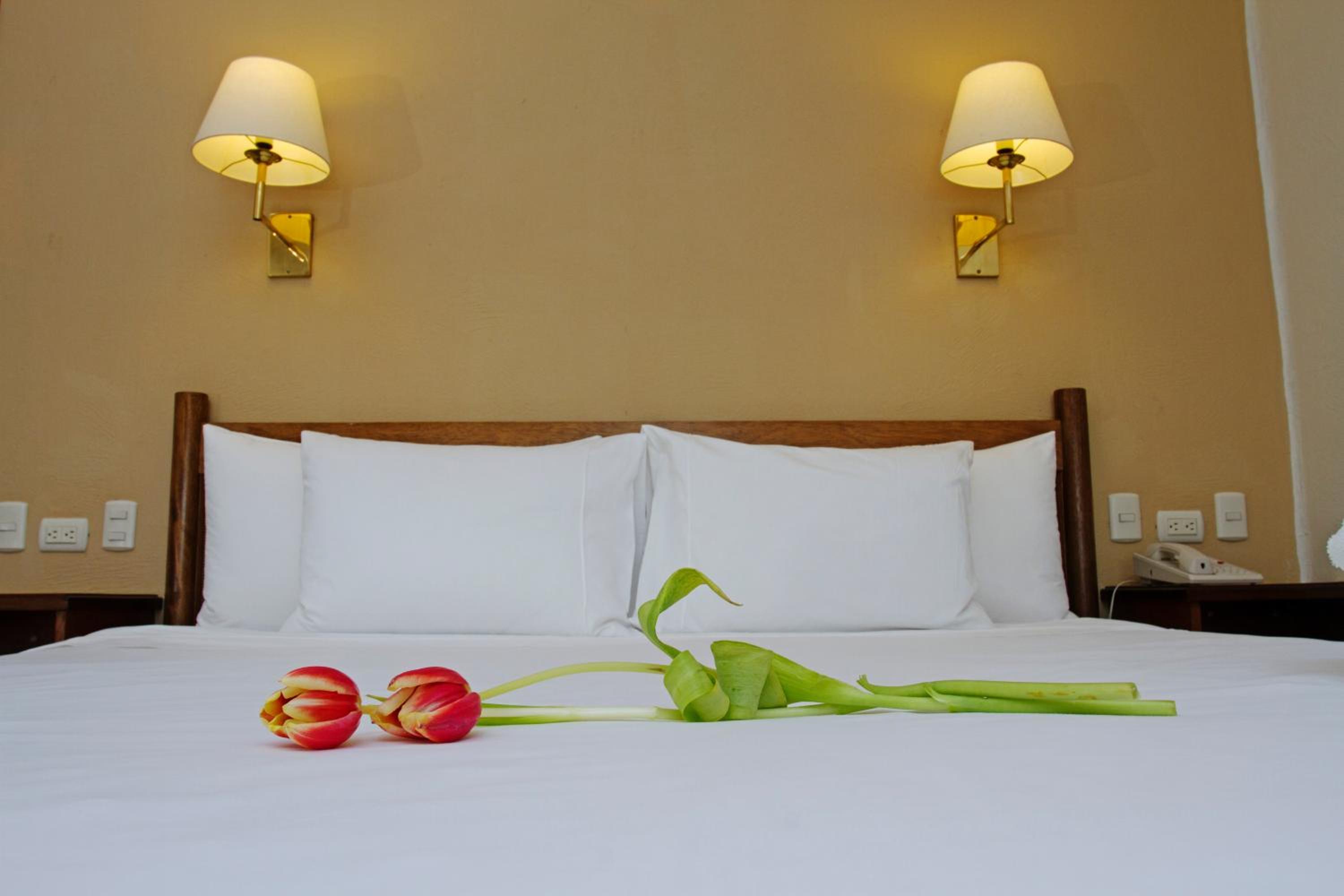 Special Offer - Double Room with Sea View photo 3