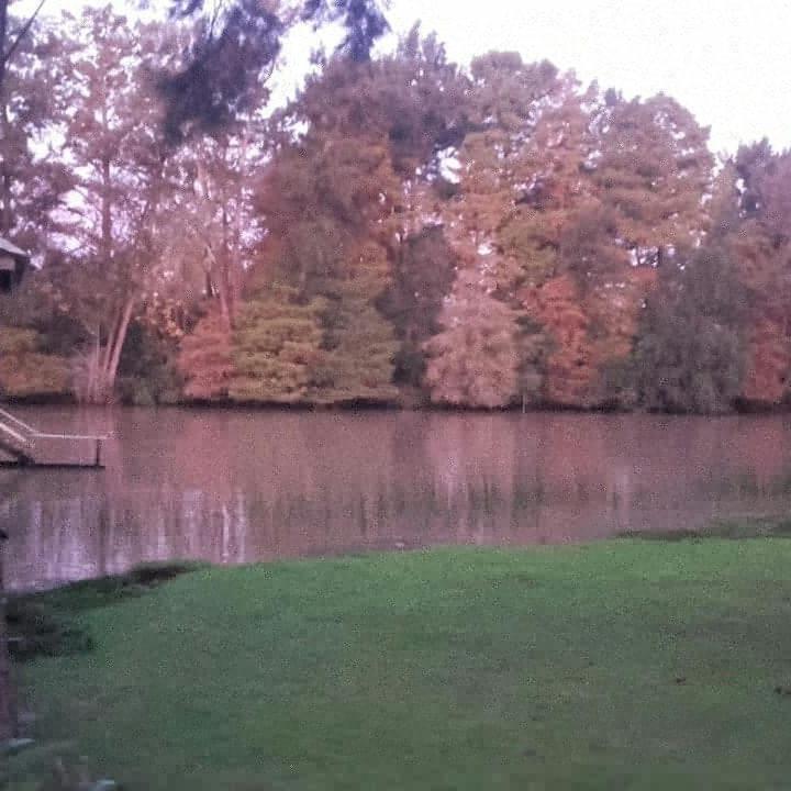 Chalet photo 3