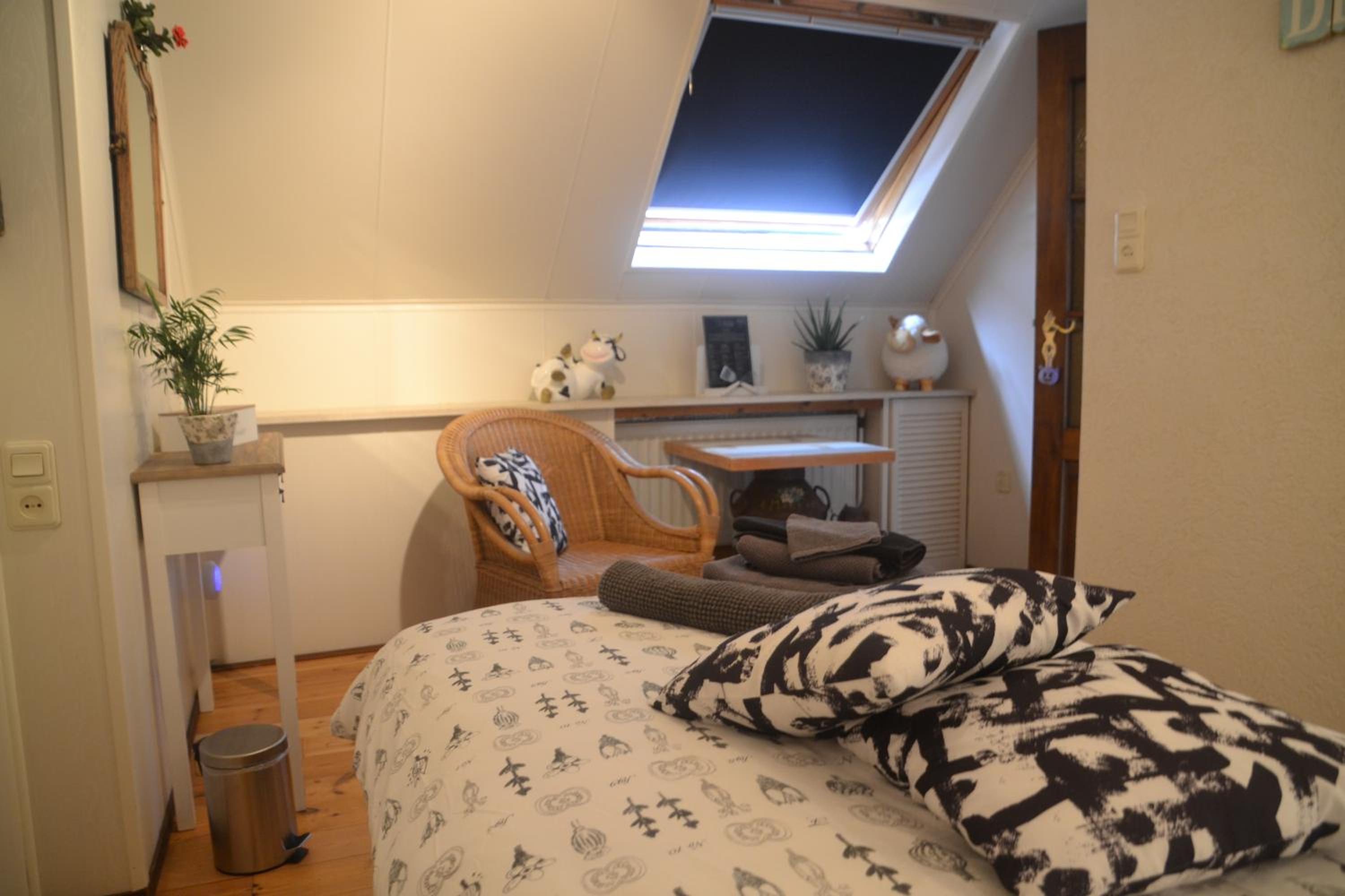 Single Room photo 2